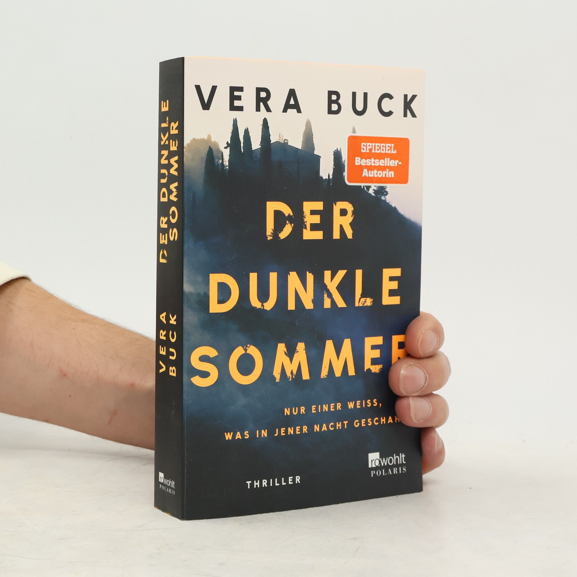Vera Buck Der dunkle Sommer