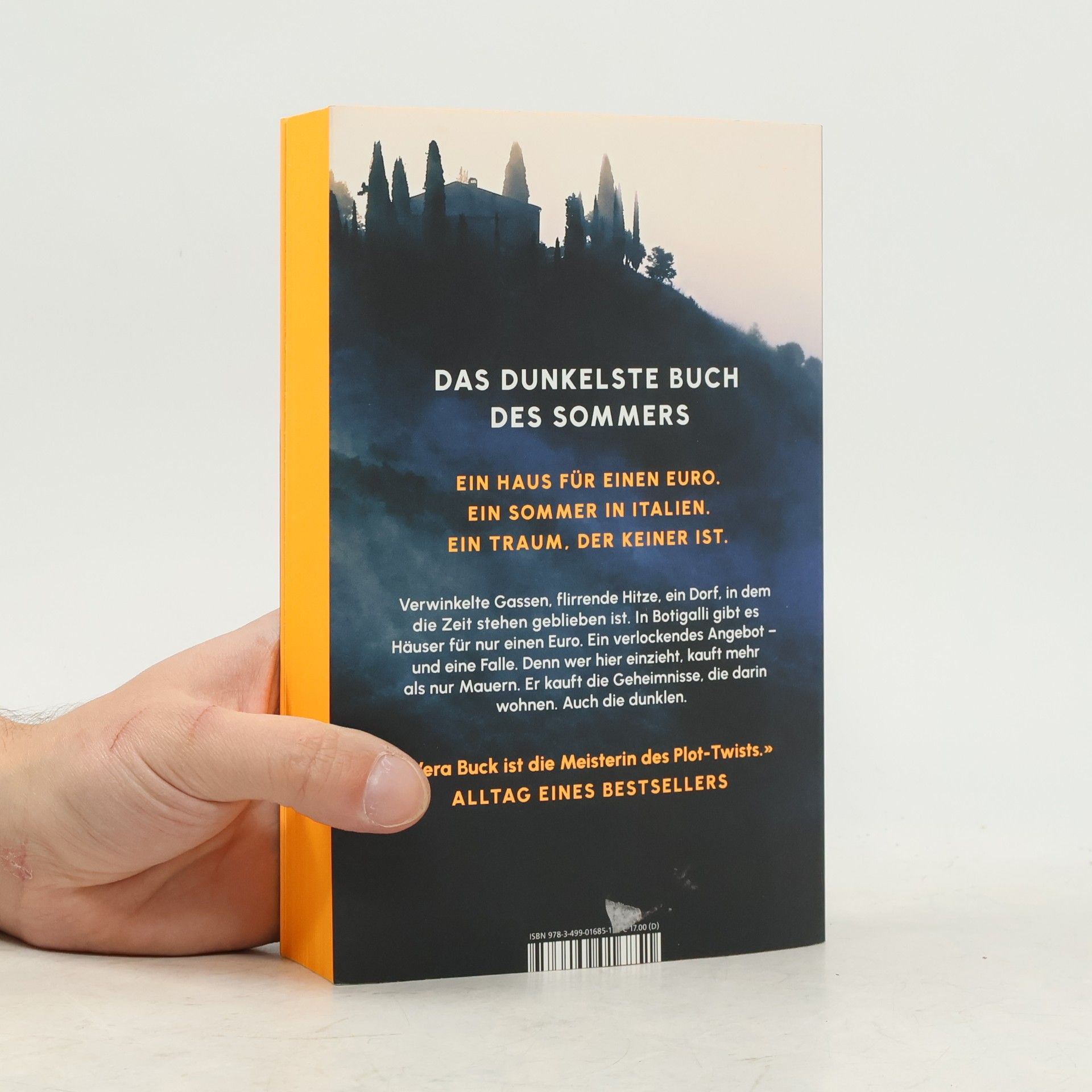 Vera Buck Der dunkle Sommer