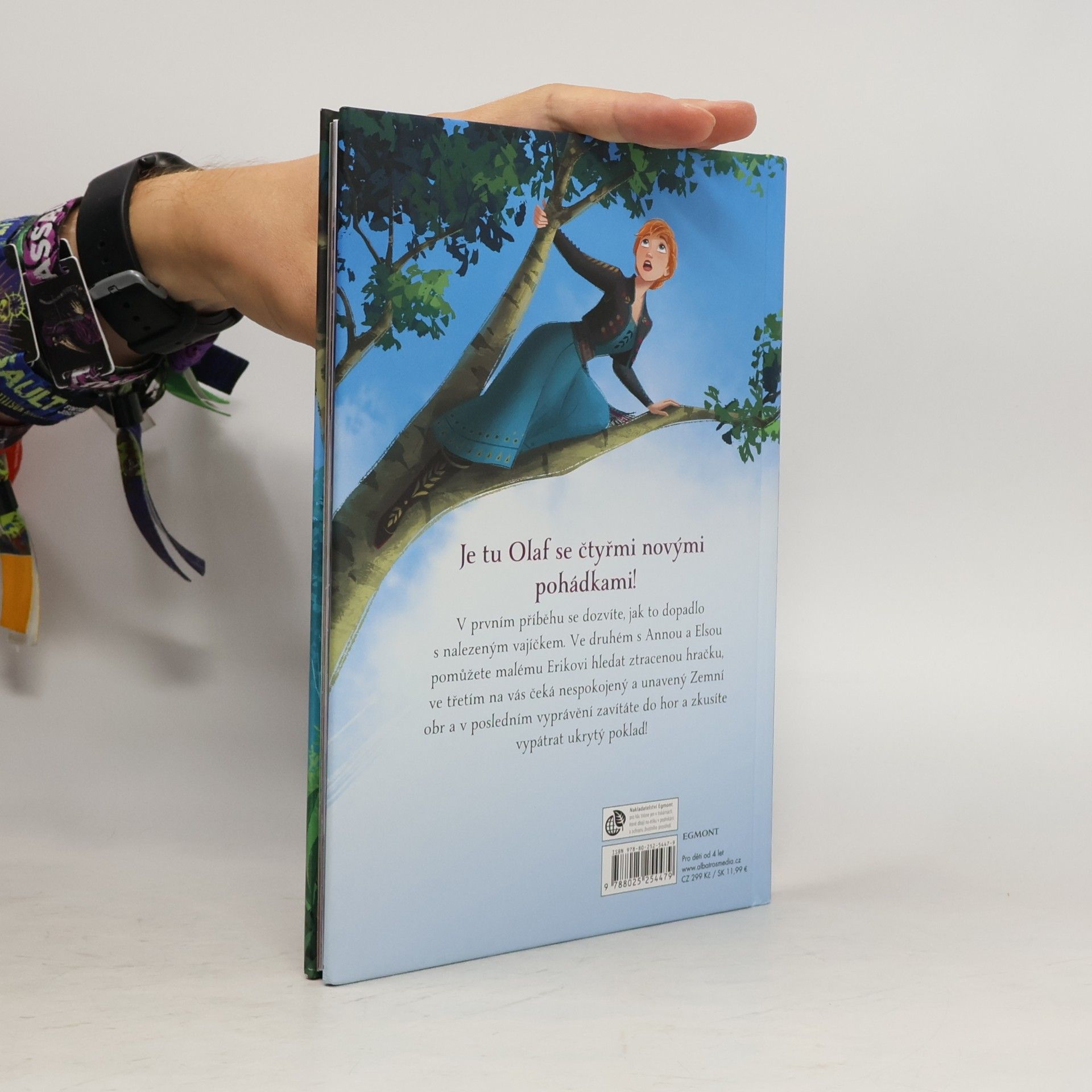 Autores varios Ledové království: čtyři pohádky