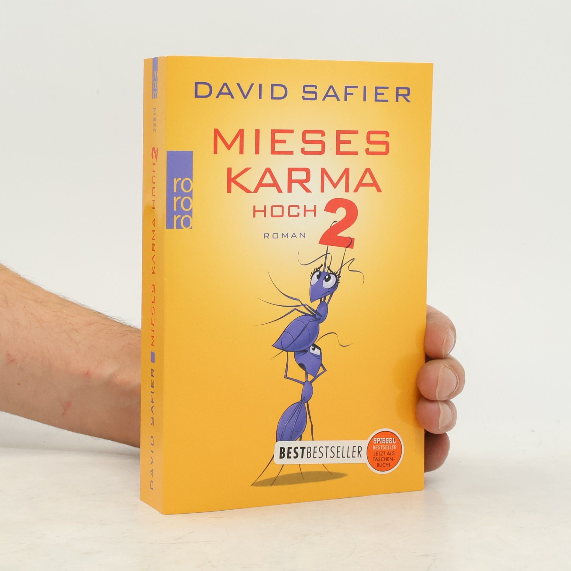 David Safier Mieses Karma hoch 2