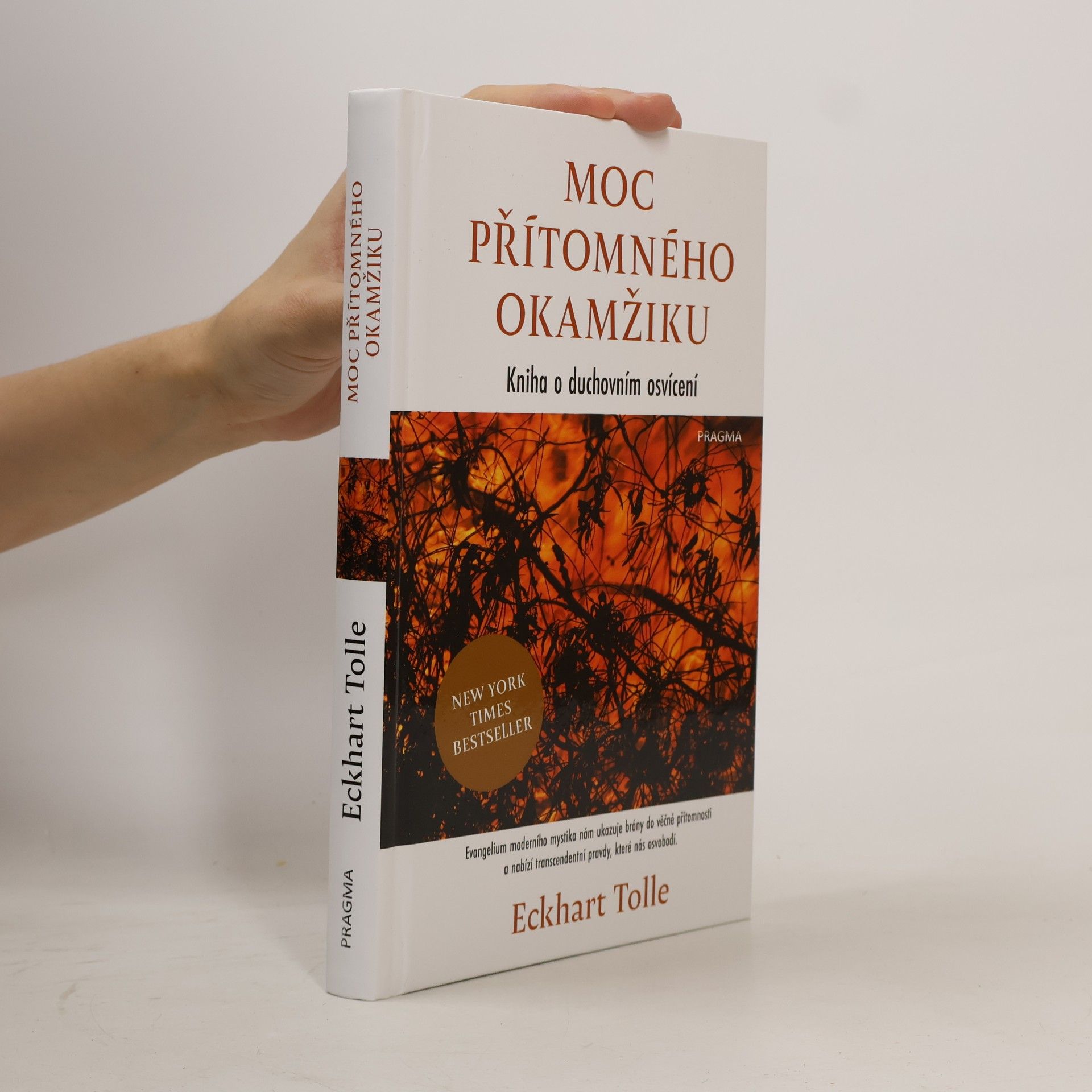 Eckhart Tolle Moc přítomného okamžiku