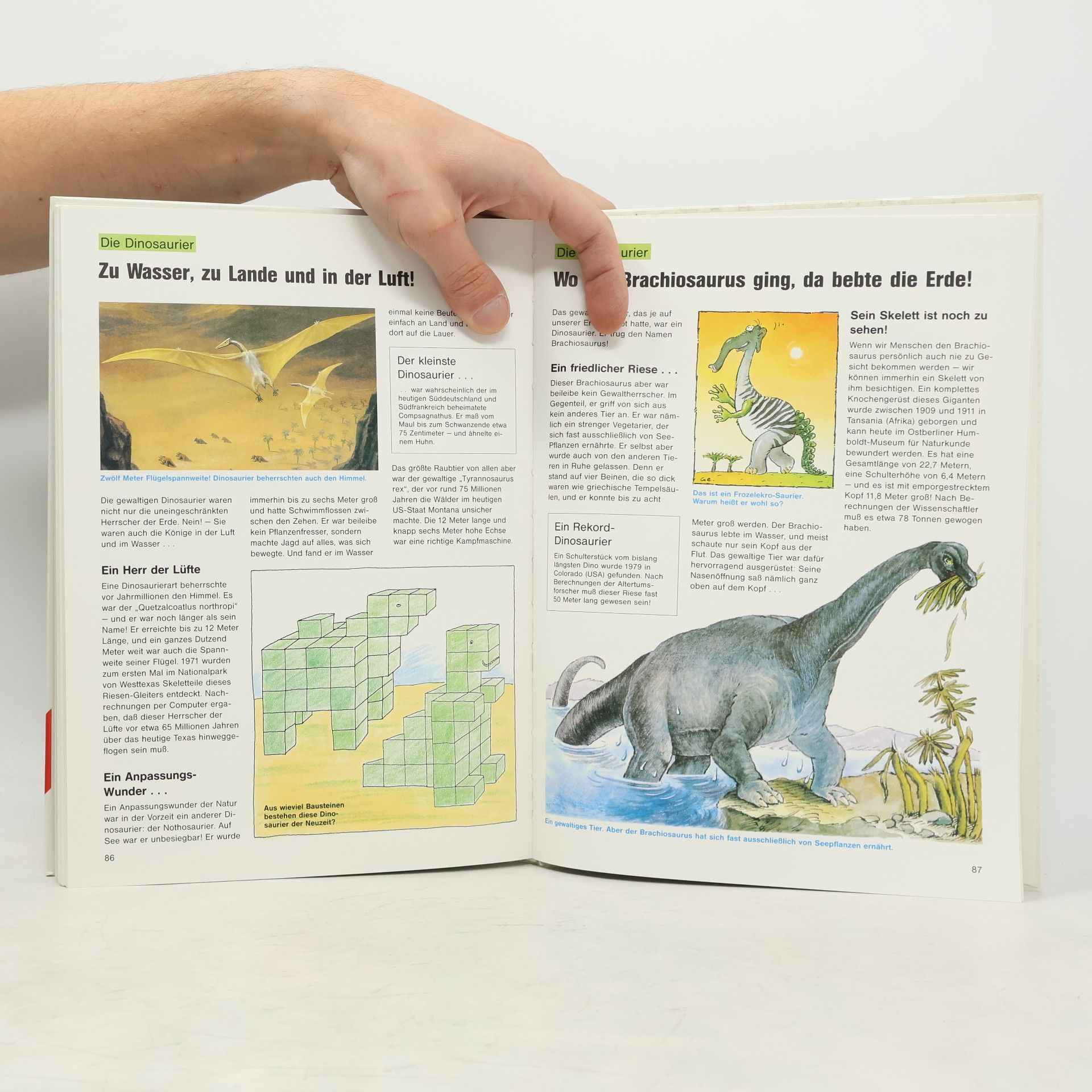 Autorenkollektiv Schüler Wissen 1