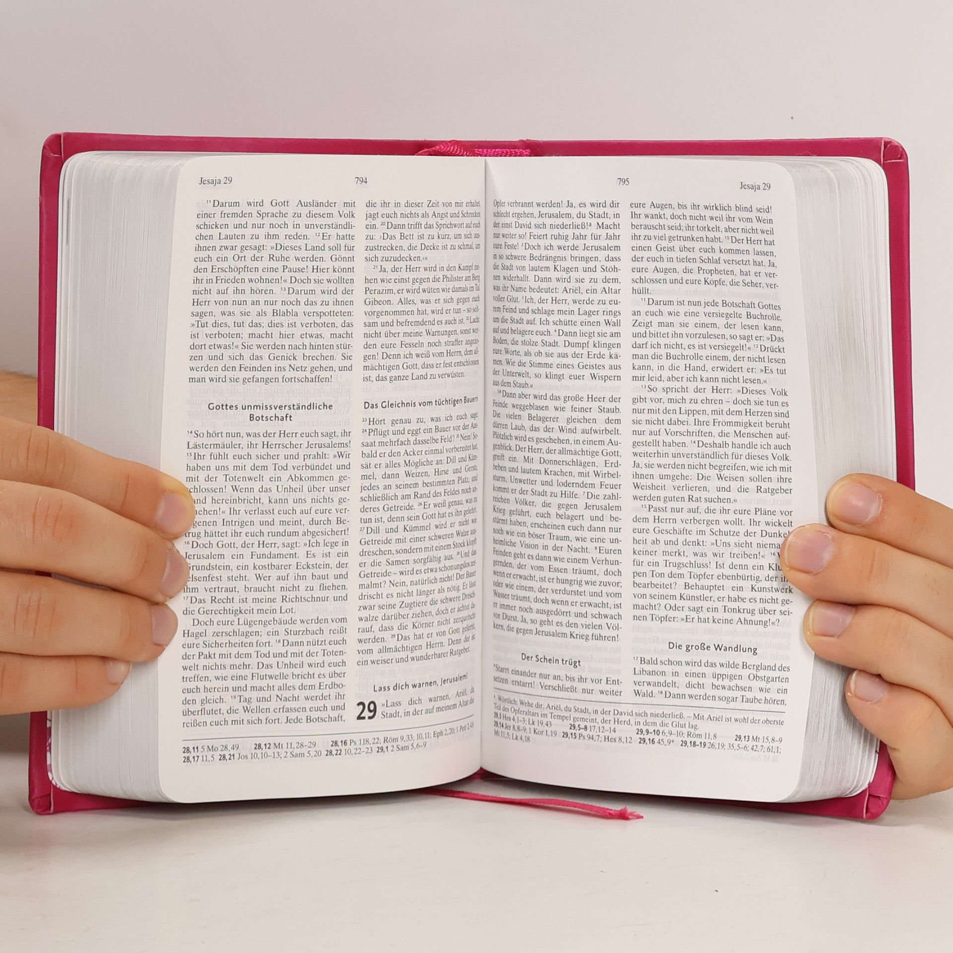 Hoffnung für alle, Pink & Silber Bibel