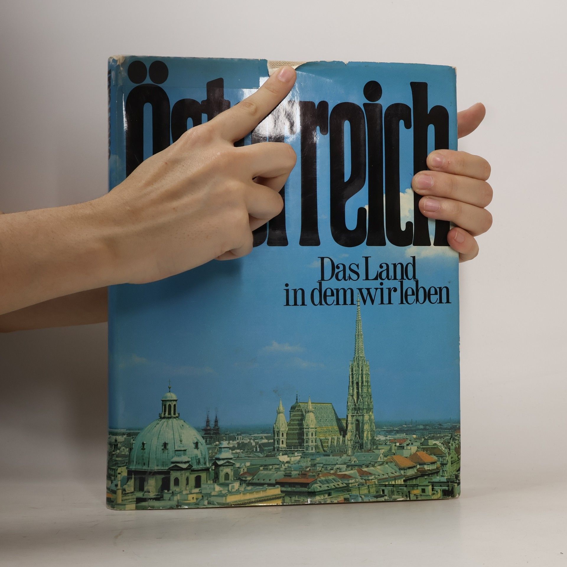 Autores varios Österreich. Das Land in dem wir leben