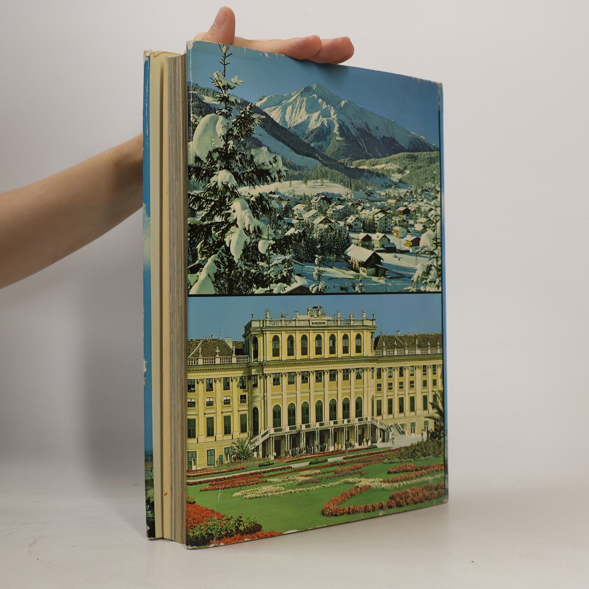 Autores varios Österreich. Das Land in dem wir leben