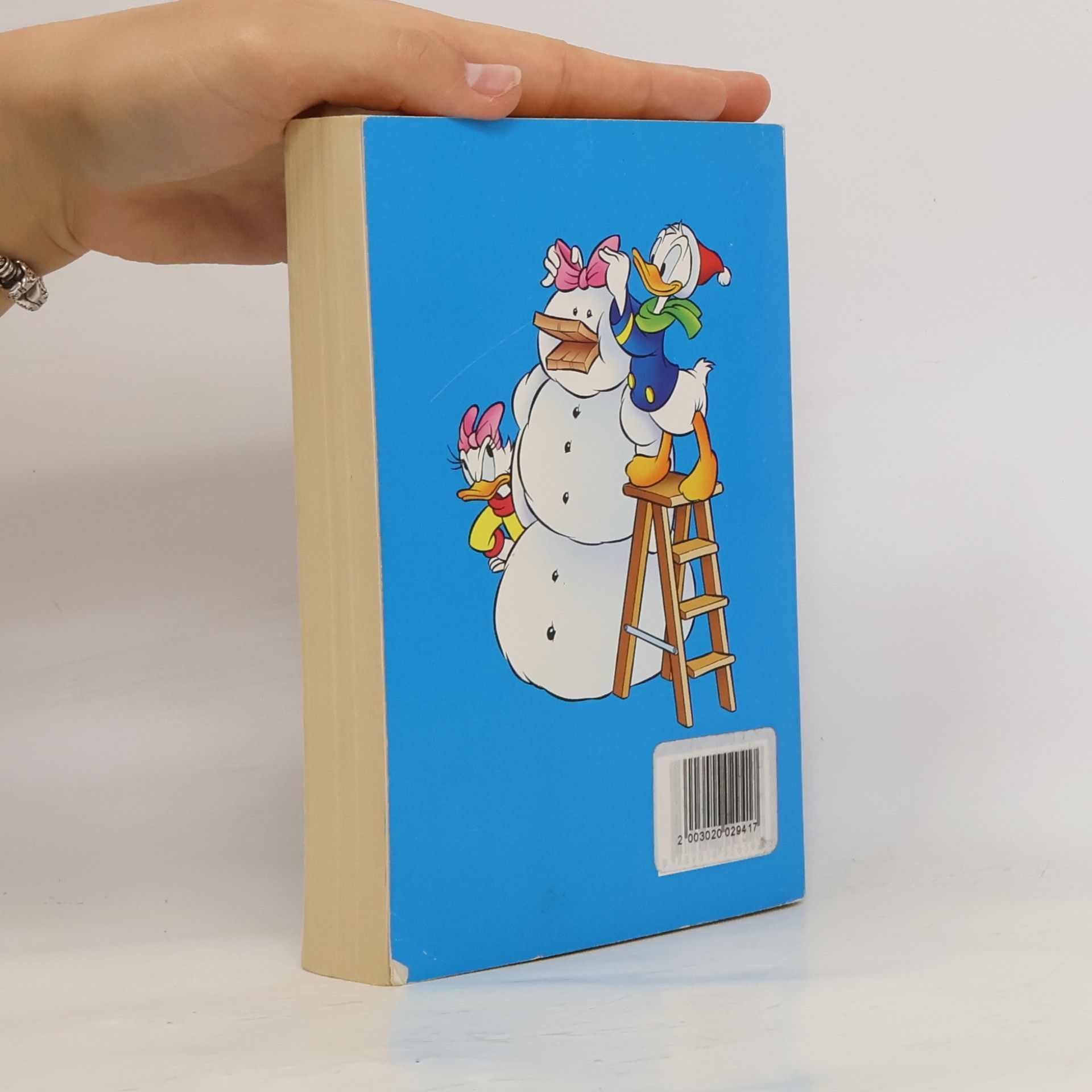 Autorenkollektiv Donald Duck Megapocket Winter