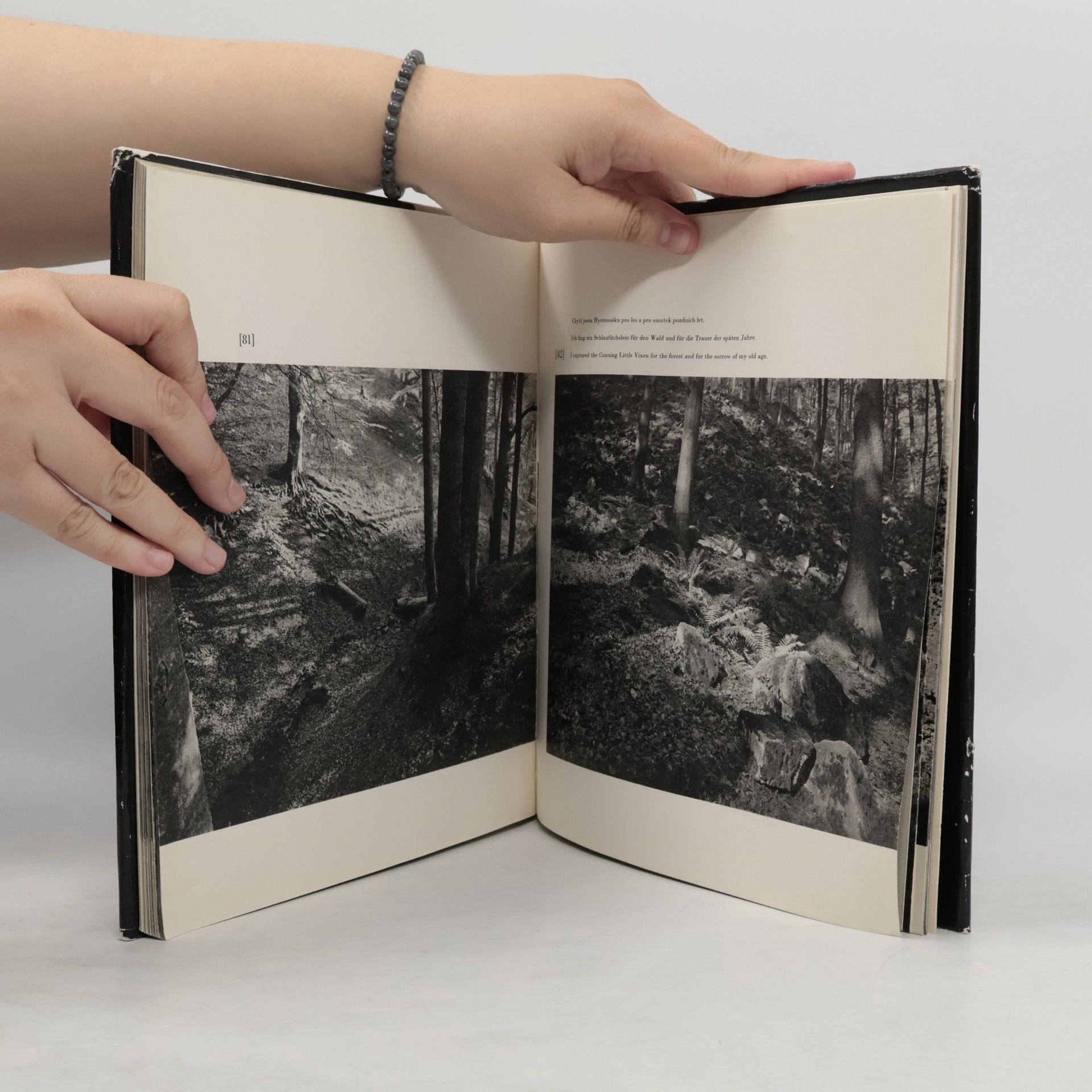 Josef Sudek Janáček - Hukvaldy