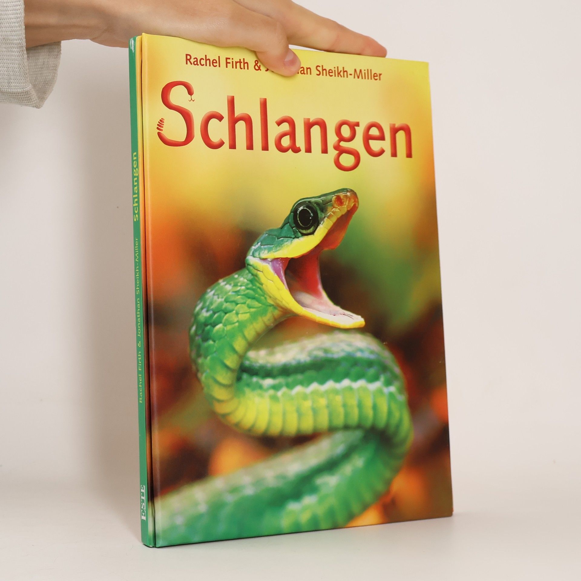 Rachel Firth Schlangen