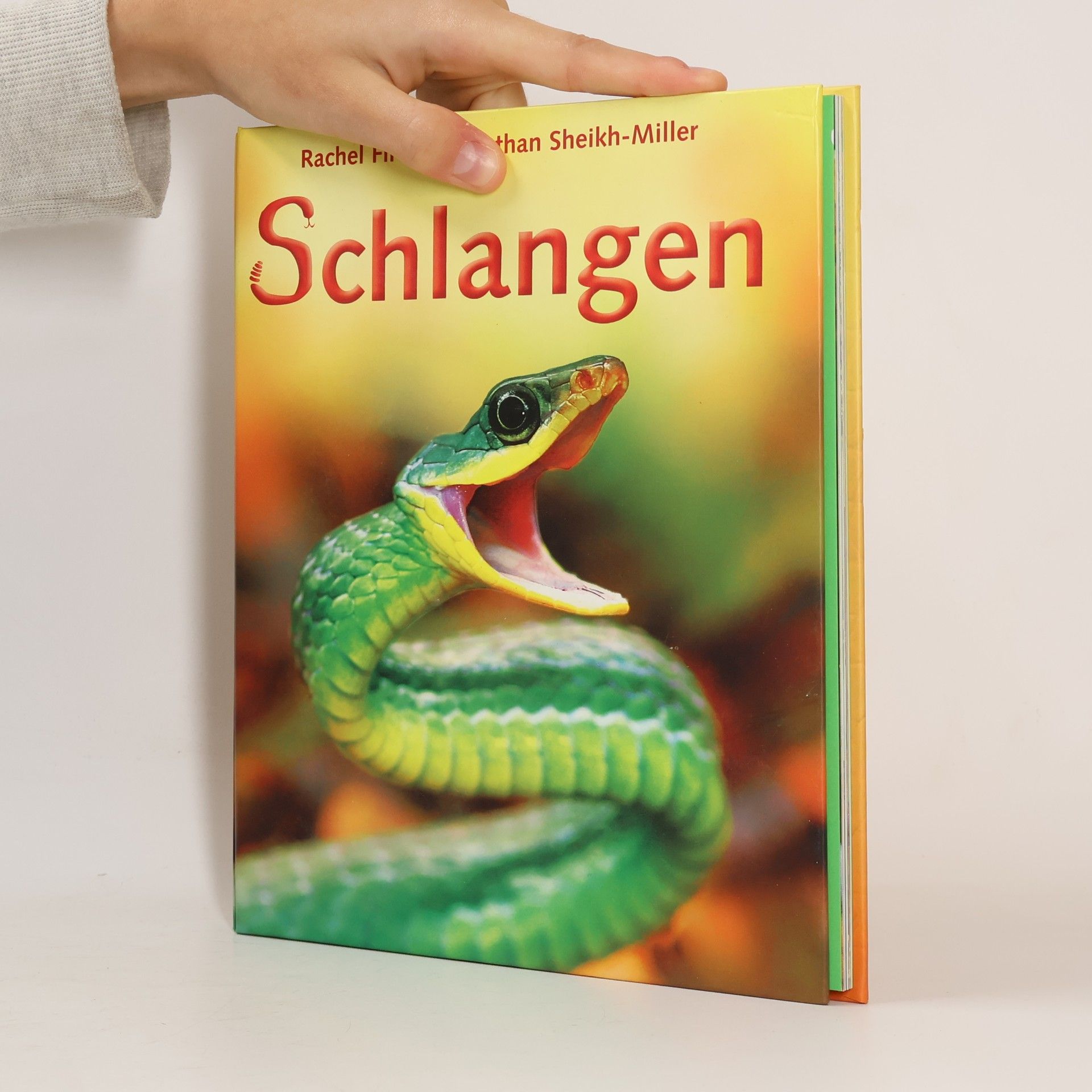 Rachel Firth Schlangen