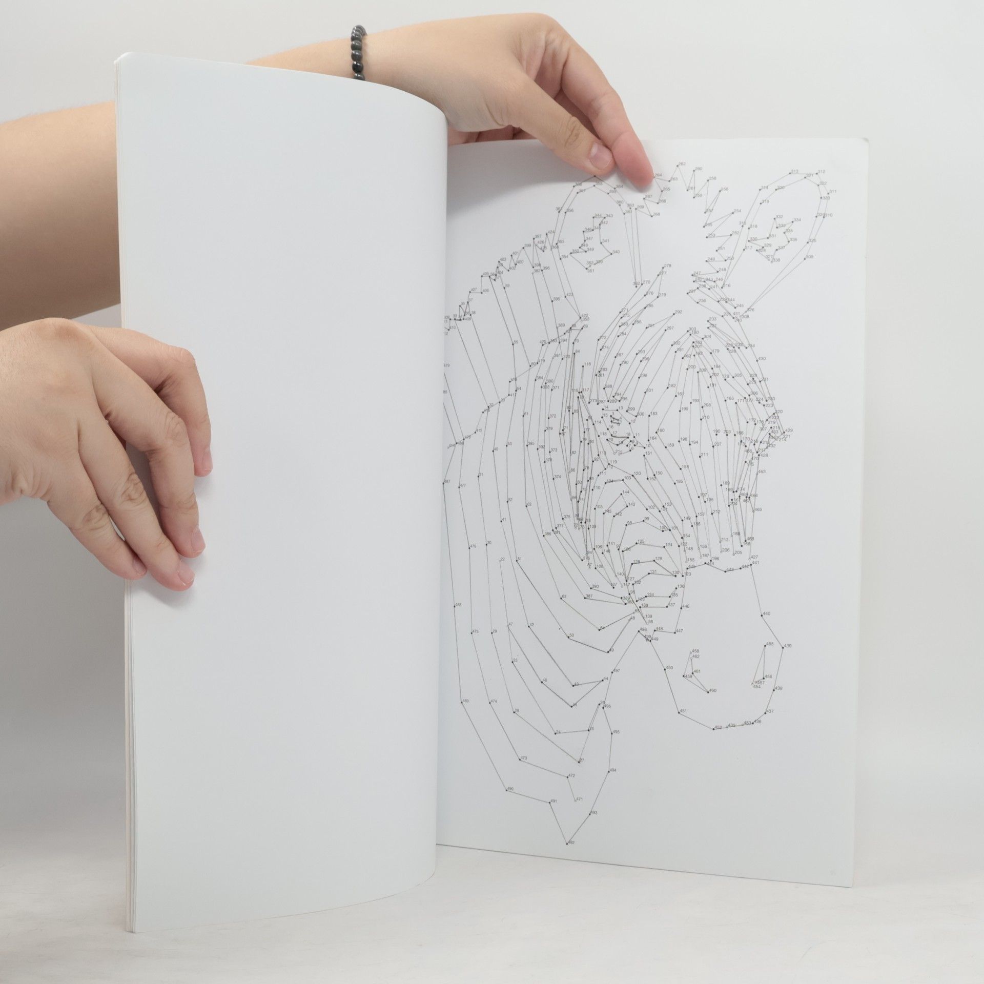 Gareth Moore Dot to dot: Spojovačky