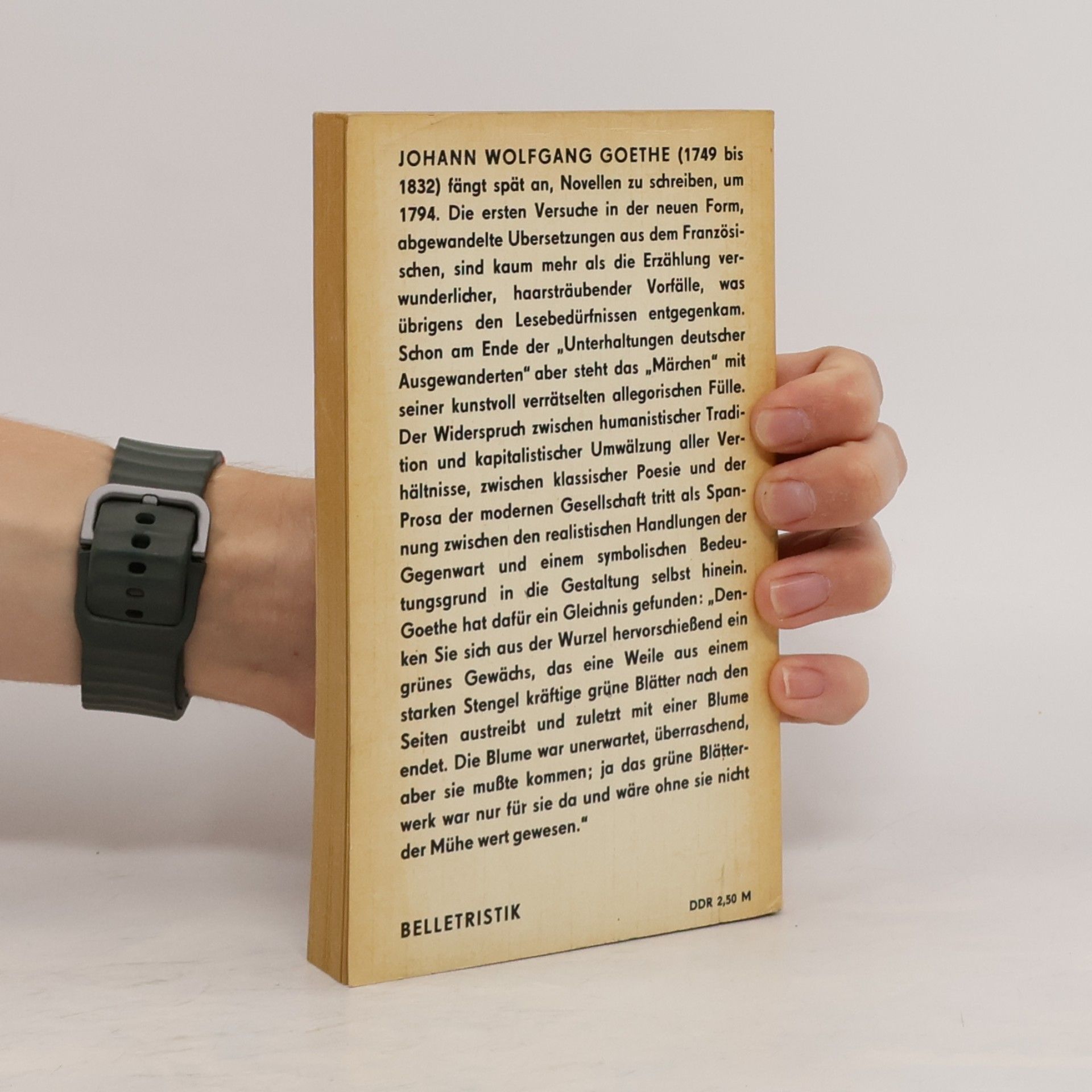 Johann Wolfgang von Goethe Novellen