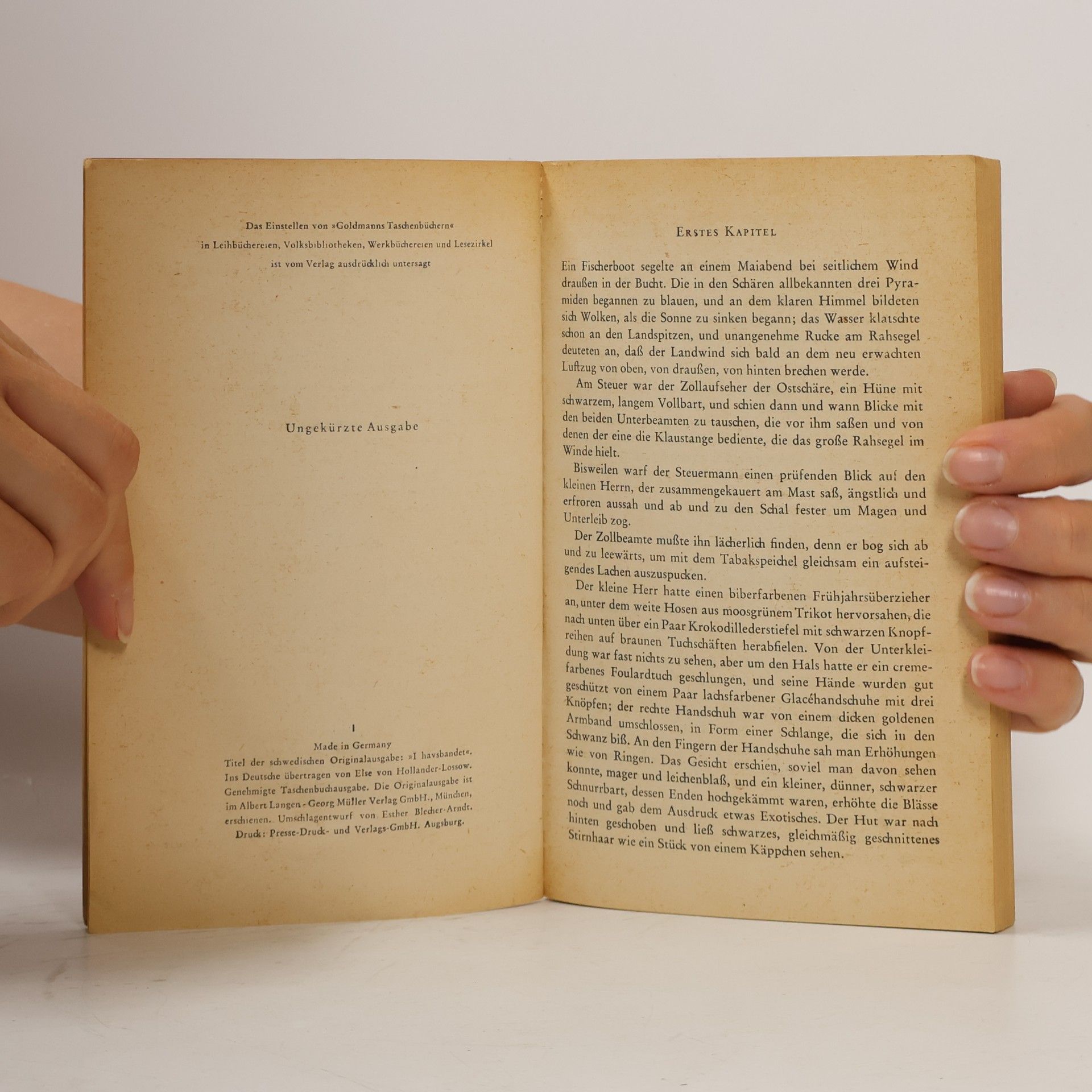 August Strindberg Am offenen Meer