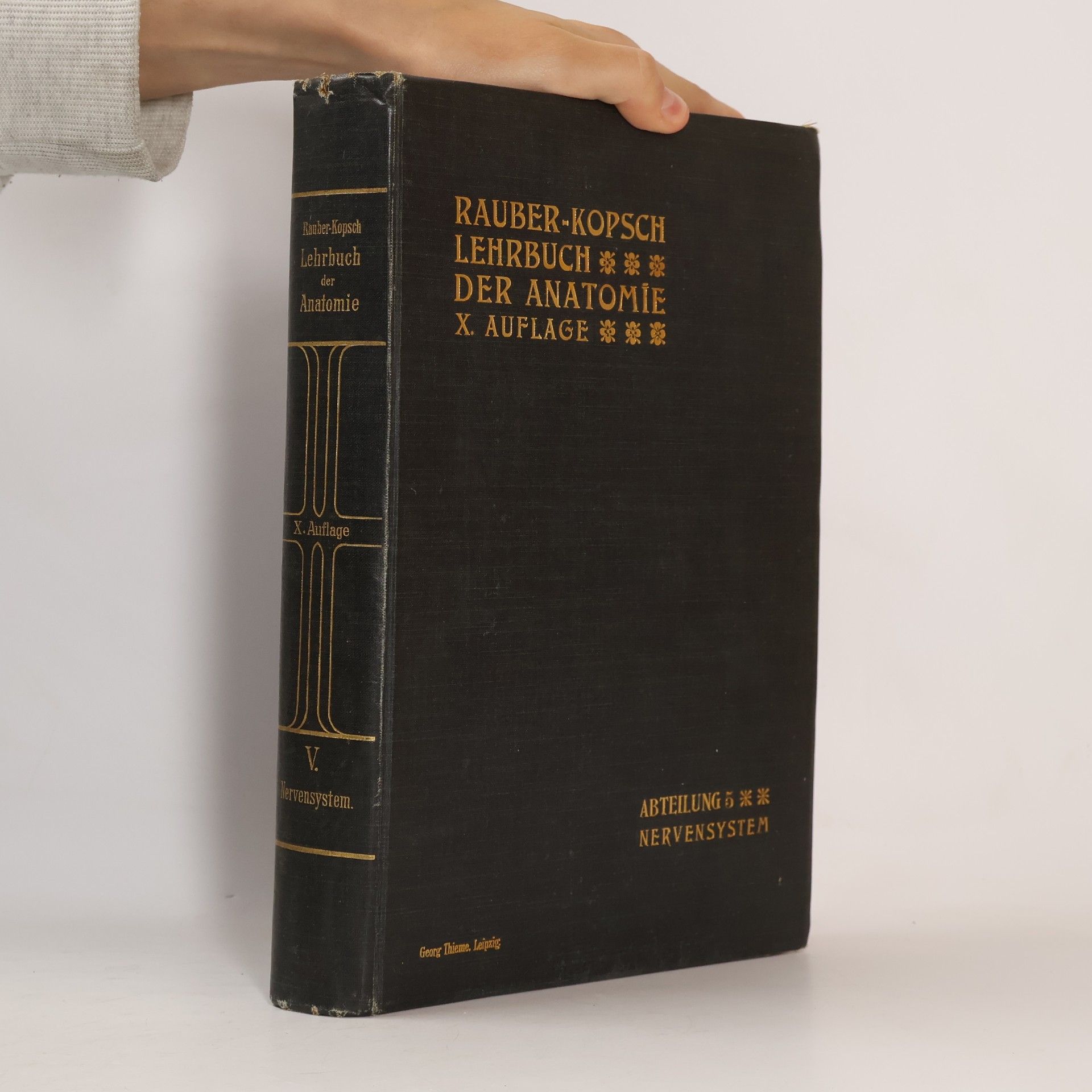Fr. Kopsch Anatomie des Menschen 5