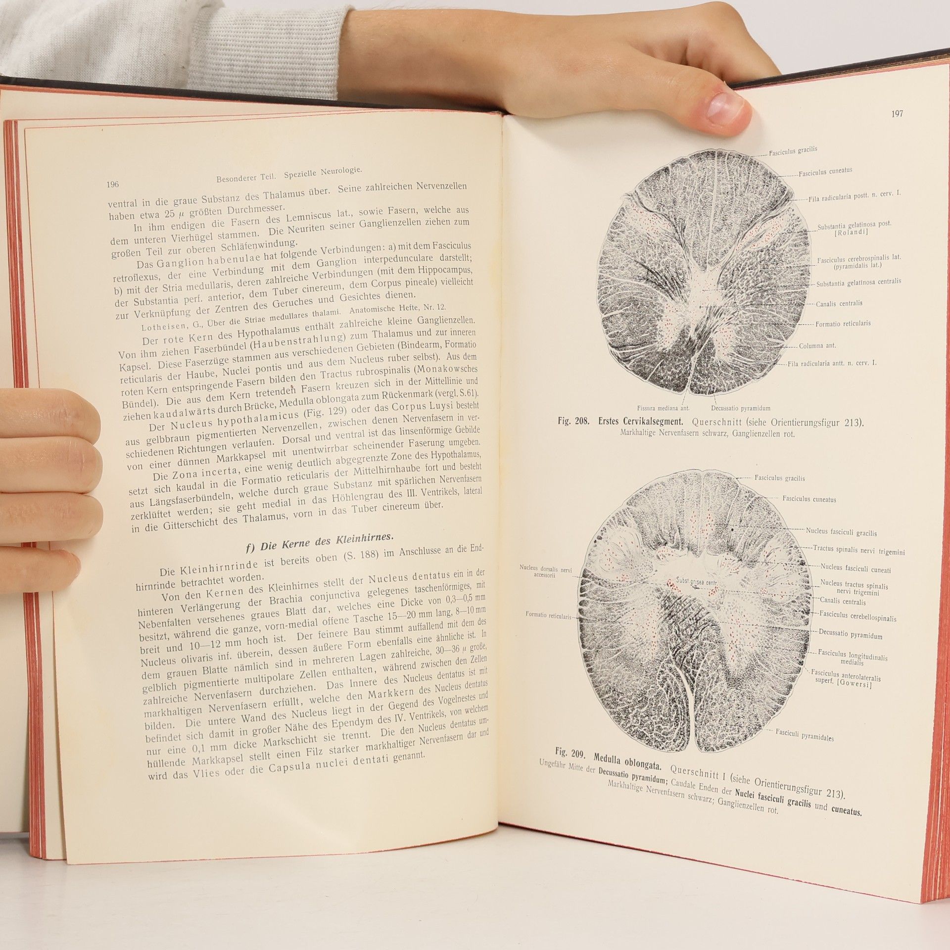 Fr. Kopsch Anatomie des Menschen 5