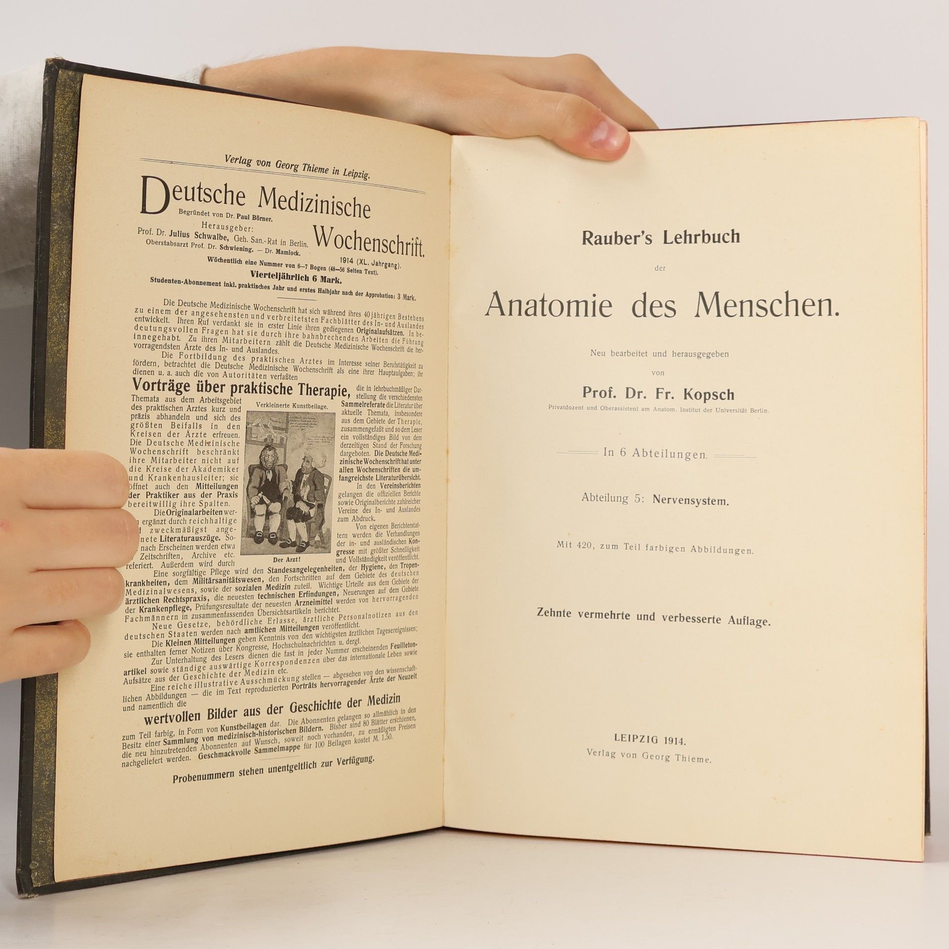 Fr. Kopsch Anatomie des Menschen 5