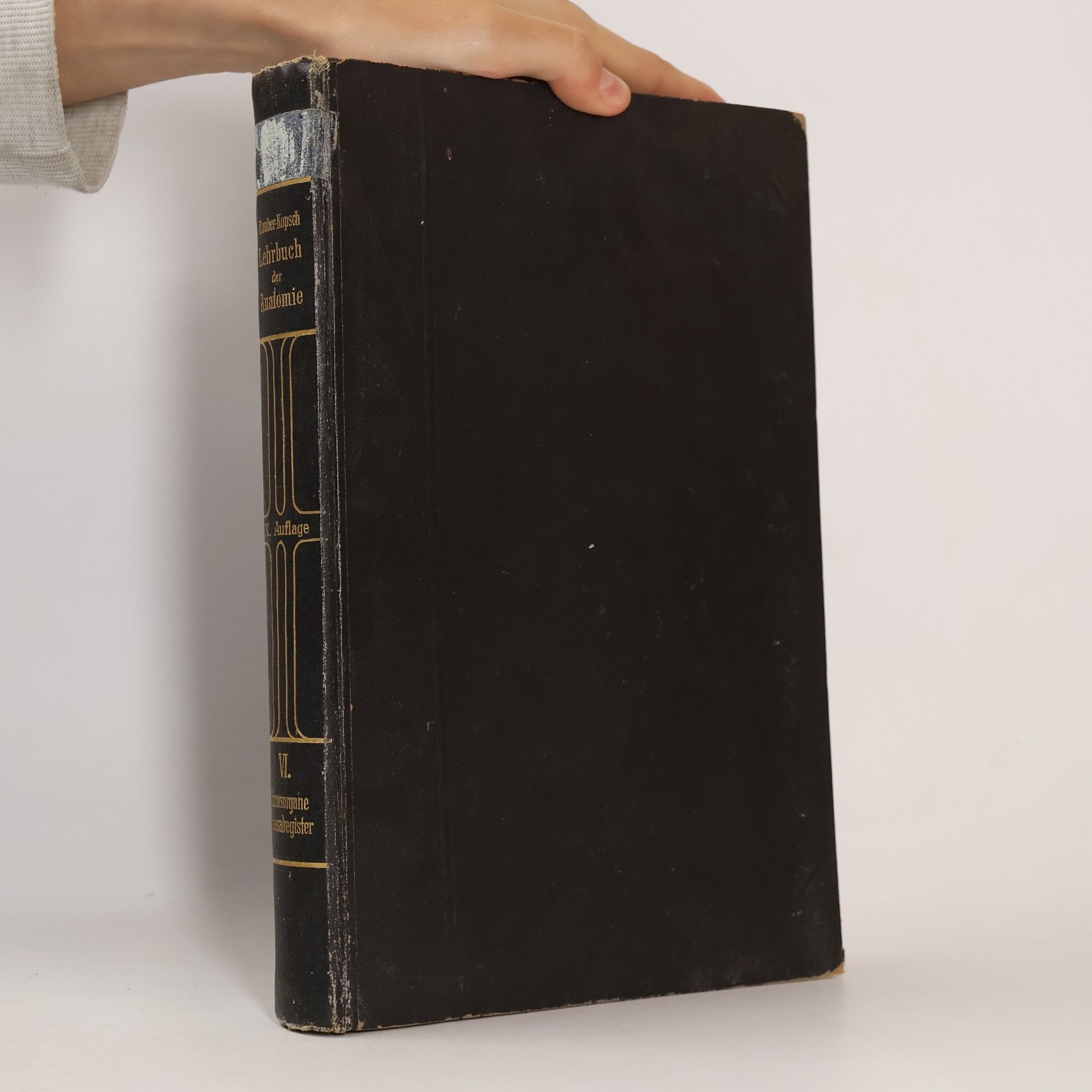 Friedrich Kopsch Rauber´s Lehrbuch der Anatomie des Menschen