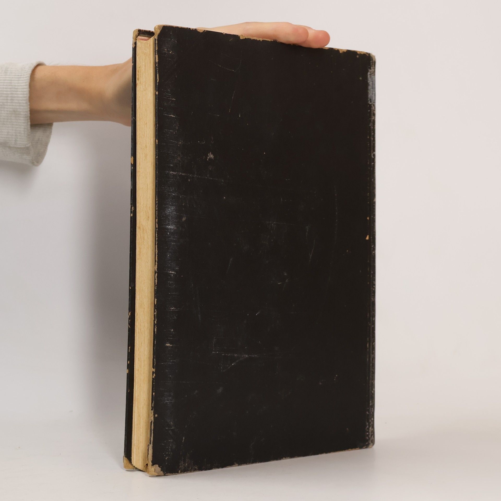 Friedrich Kopsch Rauber´s Lehrbuch der Anatomie des Menschen