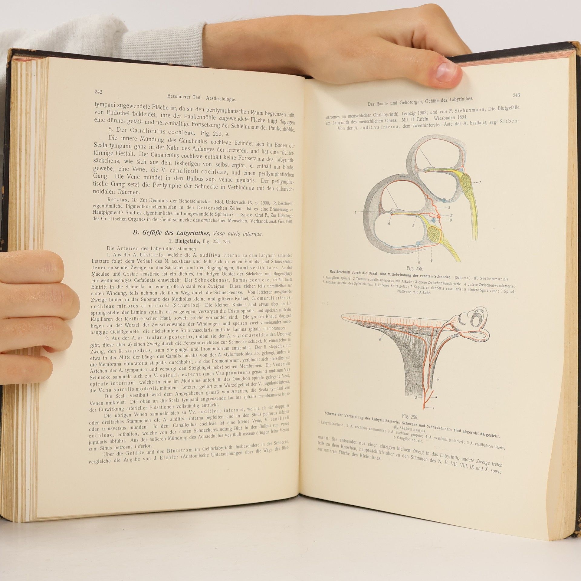 Friedrich Kopsch Rauber´s Lehrbuch der Anatomie des Menschen