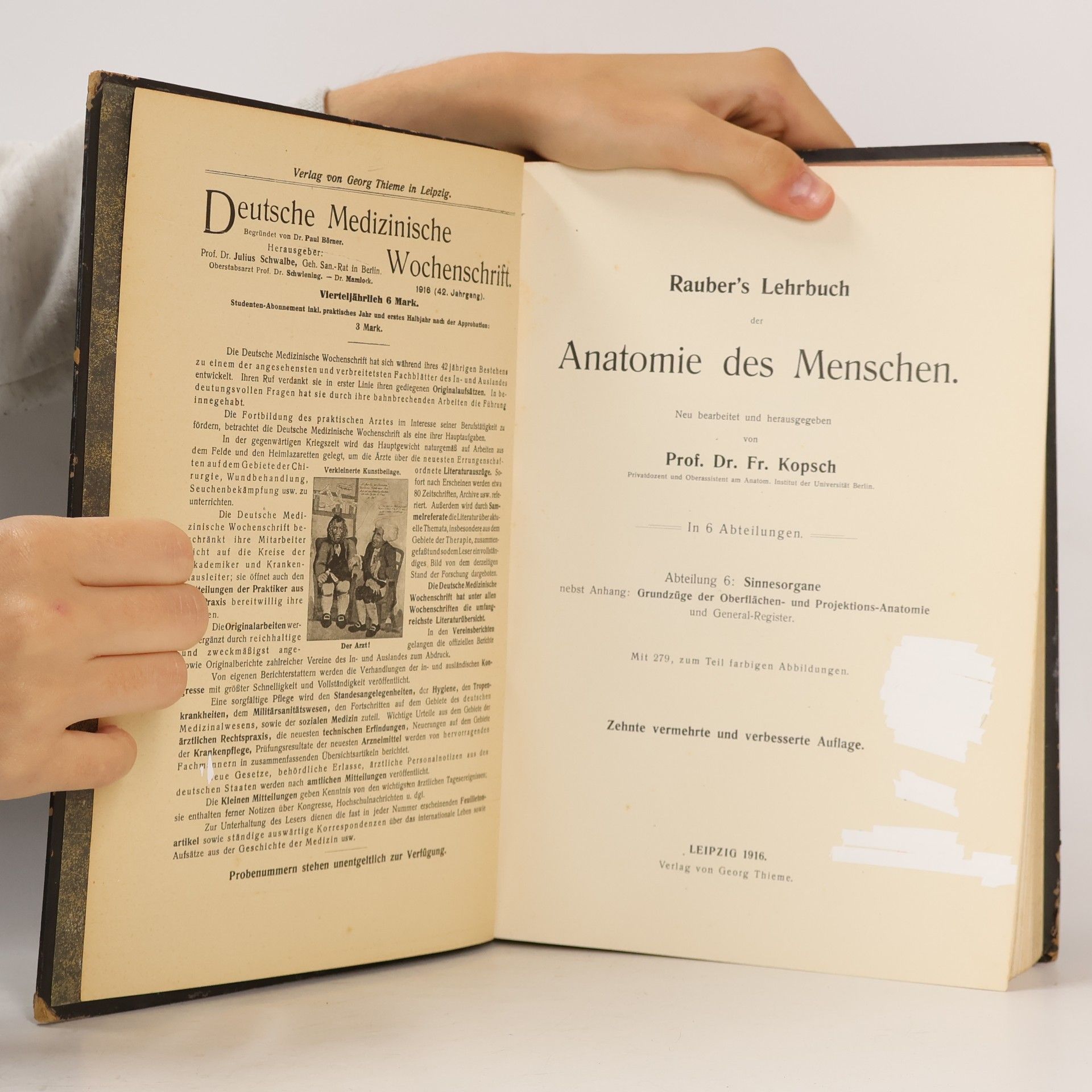 Friedrich Kopsch Rauber´s Lehrbuch der Anatomie des Menschen