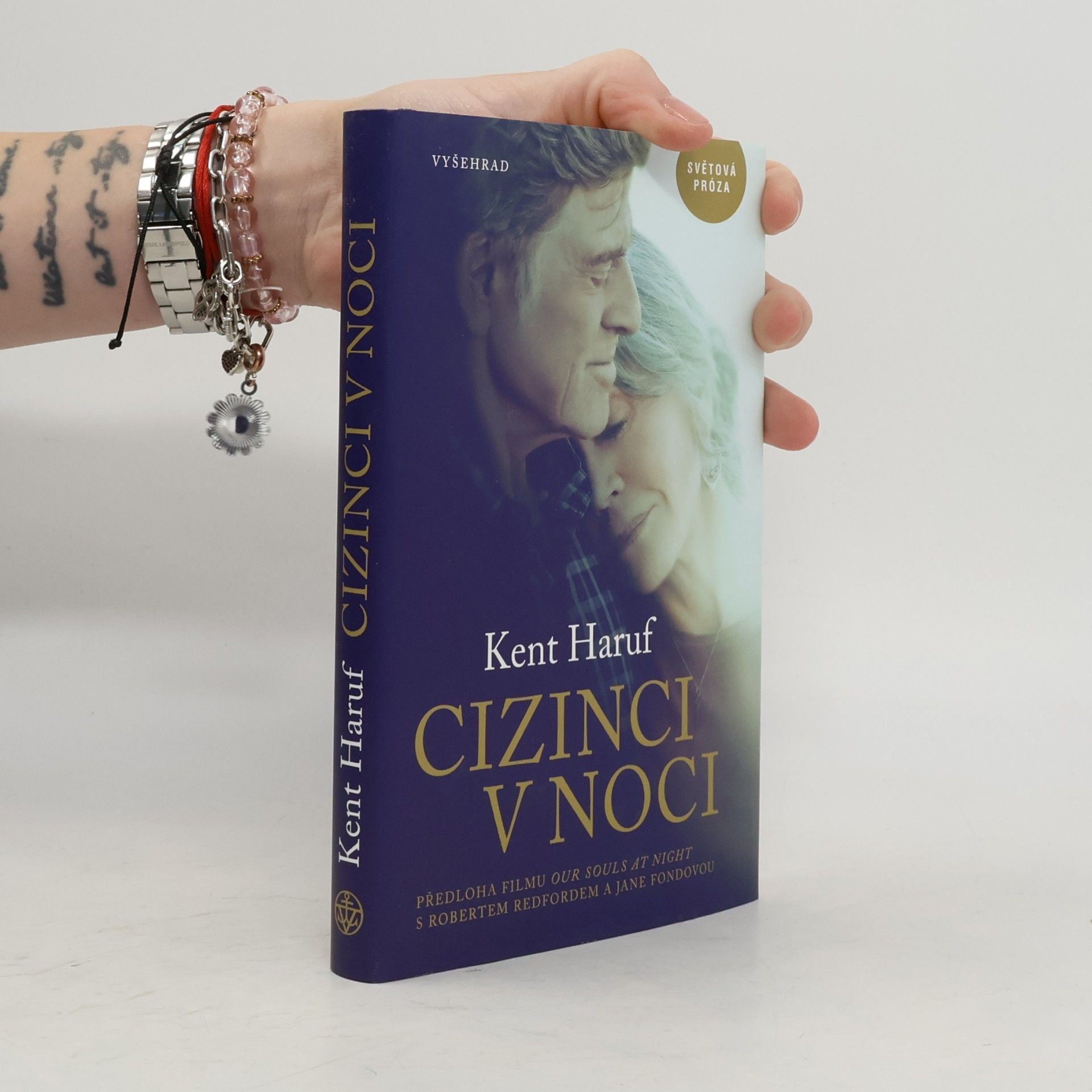 Kent Haruf Cizinci v noci