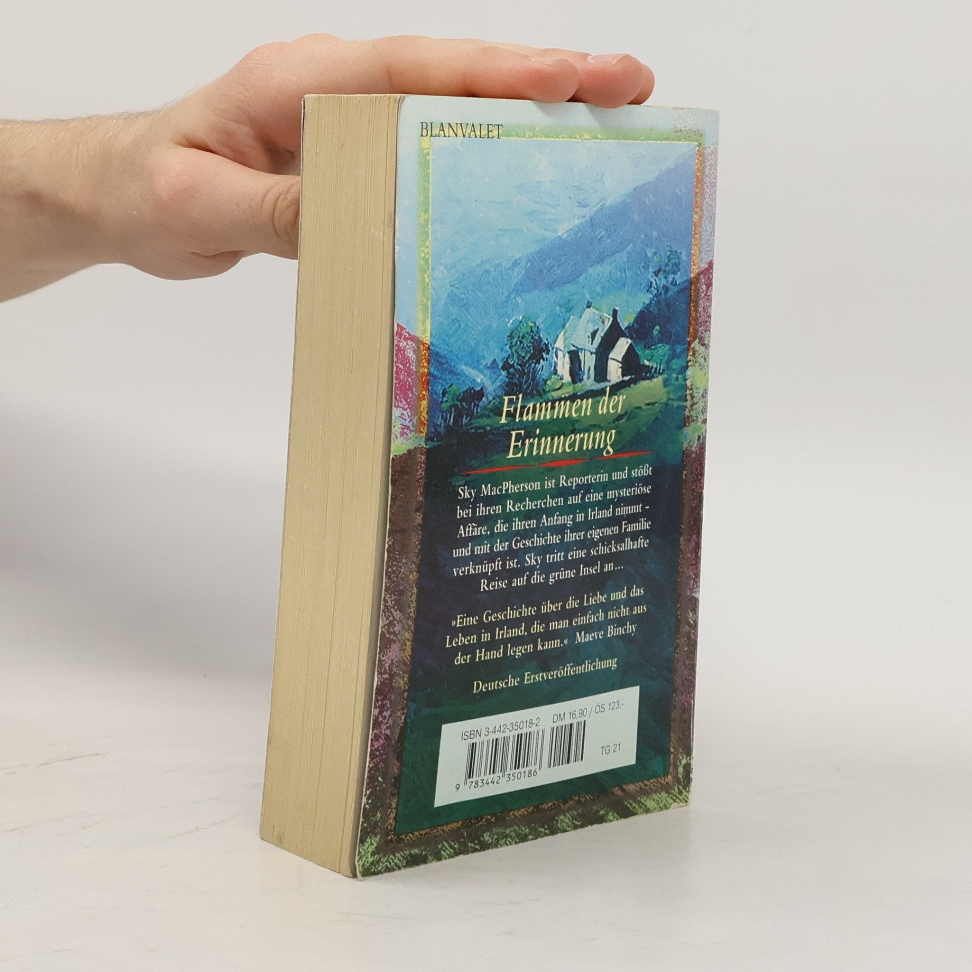 Deirdre Purcell Flammen der Erinnerung