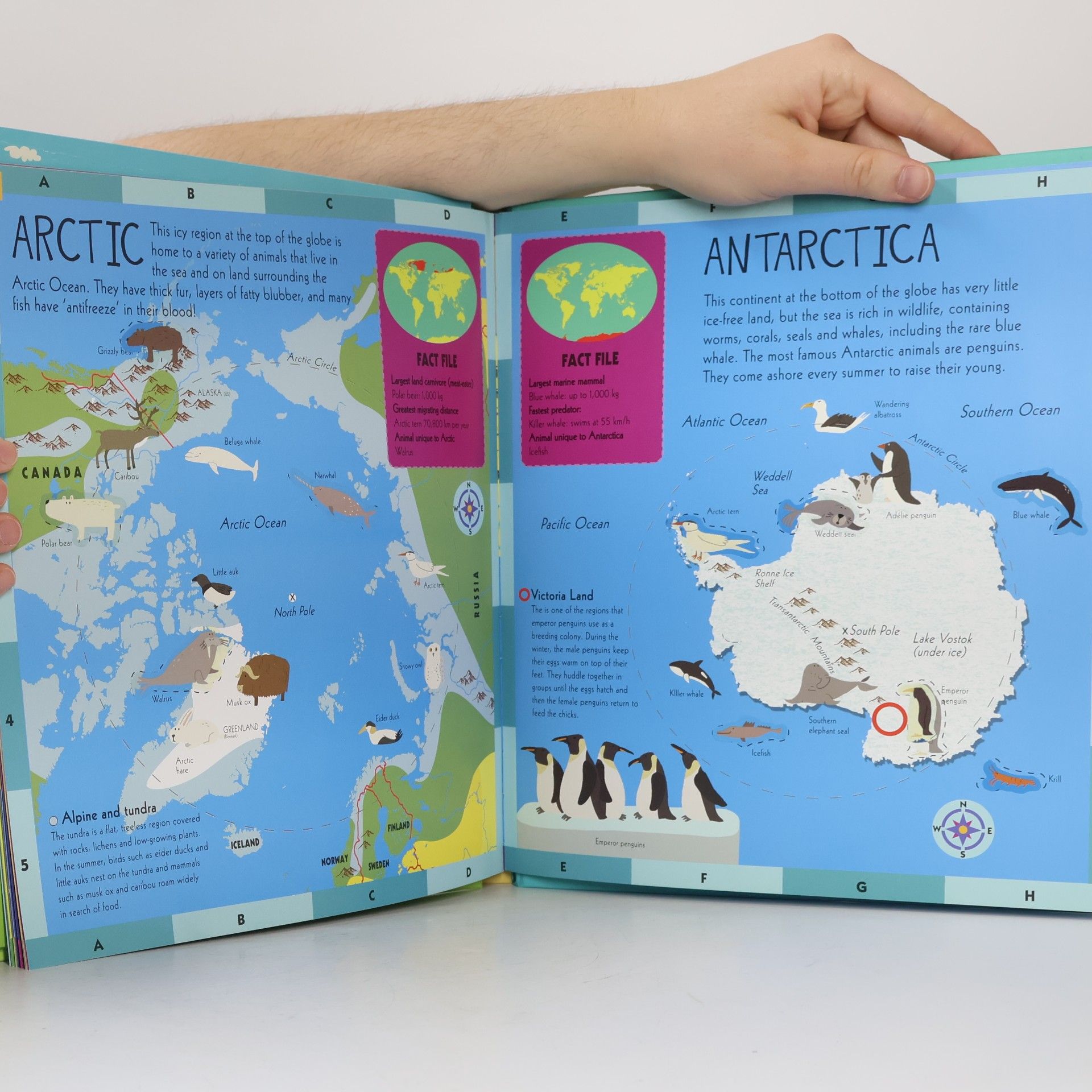 Unknown Author Children's Animal Atlas