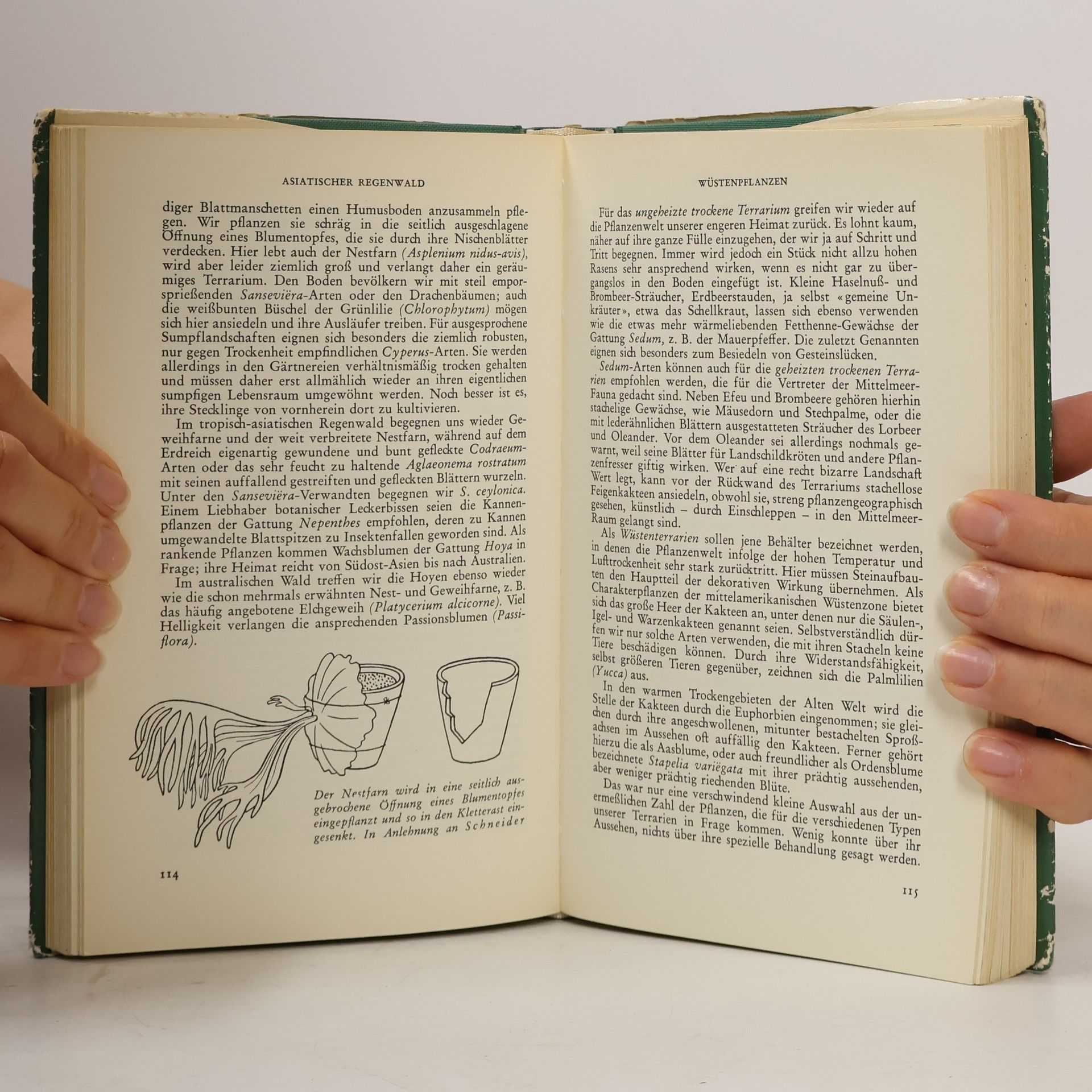 Klaus-Dieter Vogt Knaurs Aquarien- und Terrarienbuch
