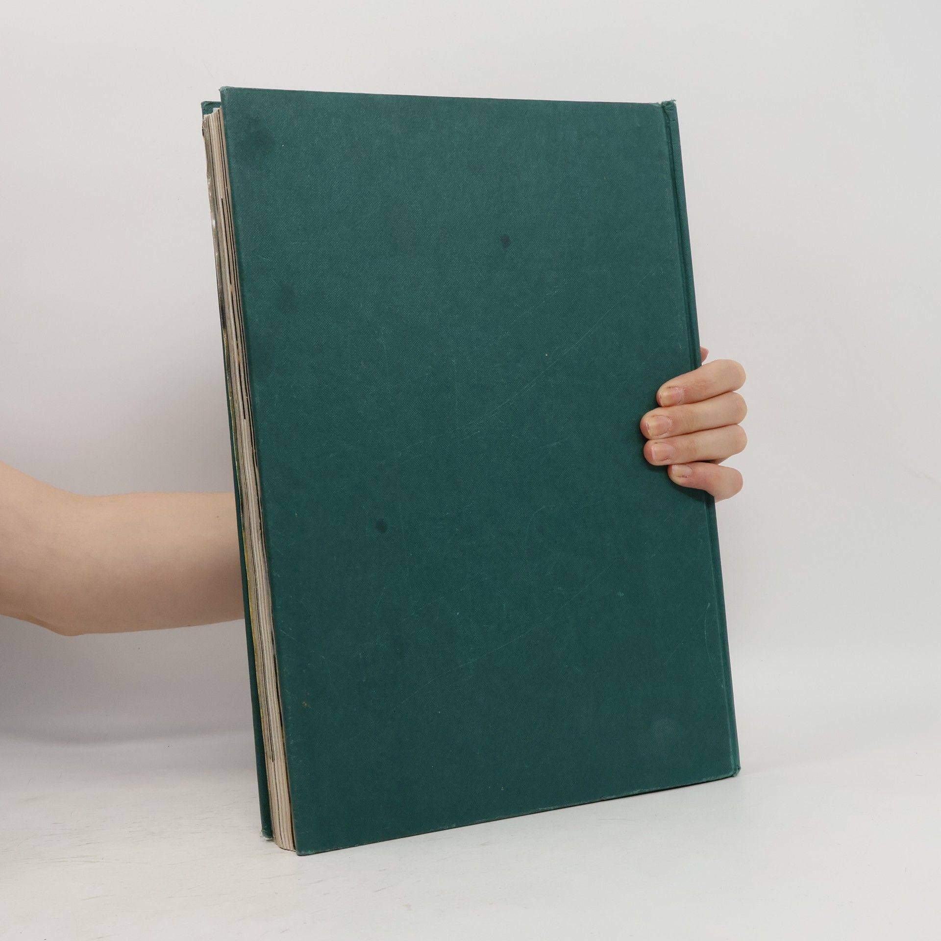 Various authors Die schöne Welt der Pferde