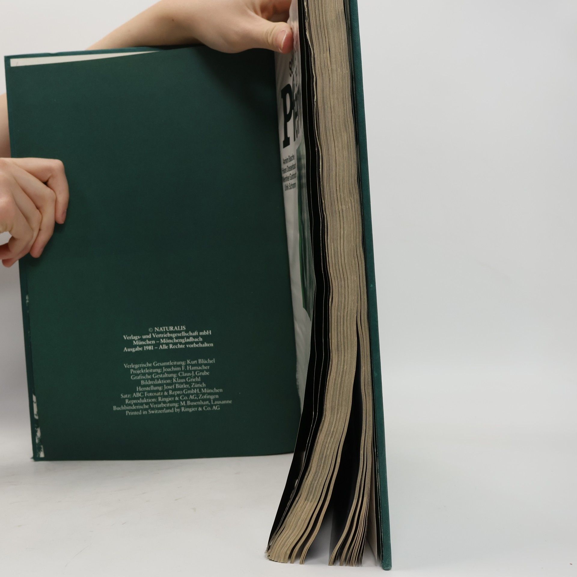 Various authors Die schöne Welt der Pferde