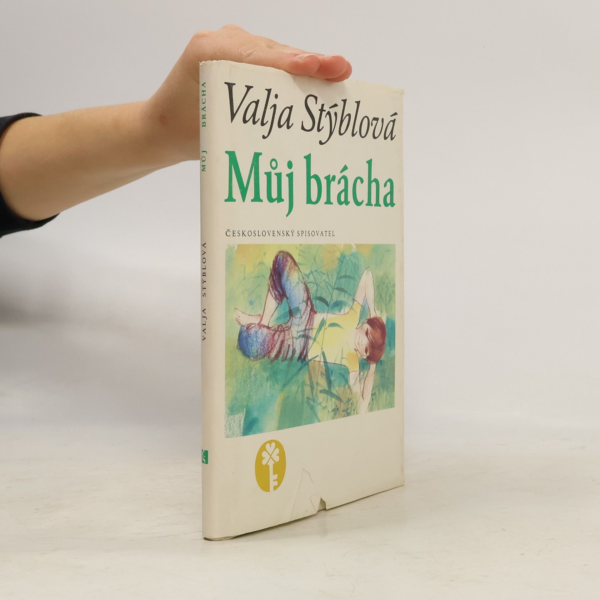 Valja Stýblová Můj brácha