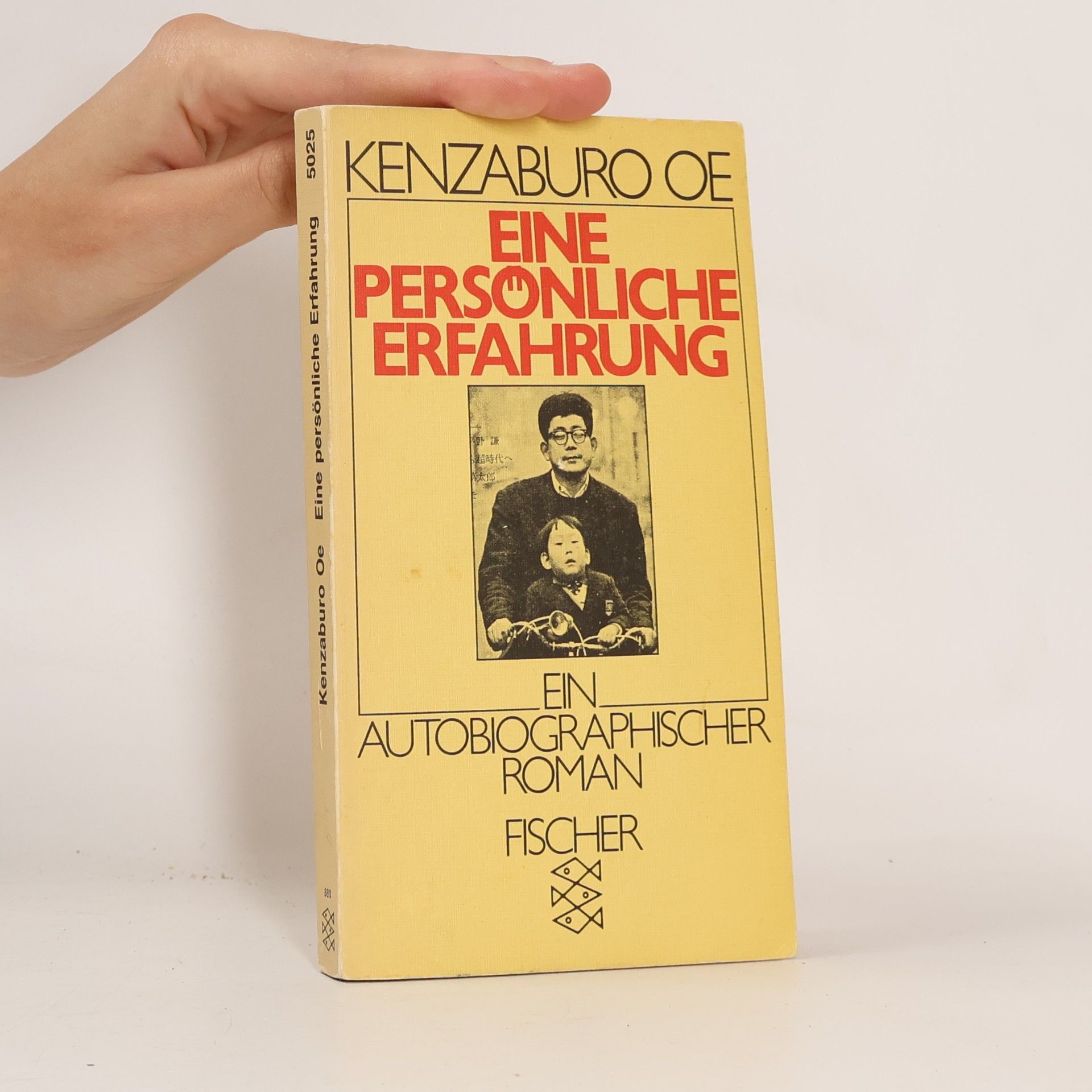 Kenzaburó Óe Eine persönliche Erfahrung