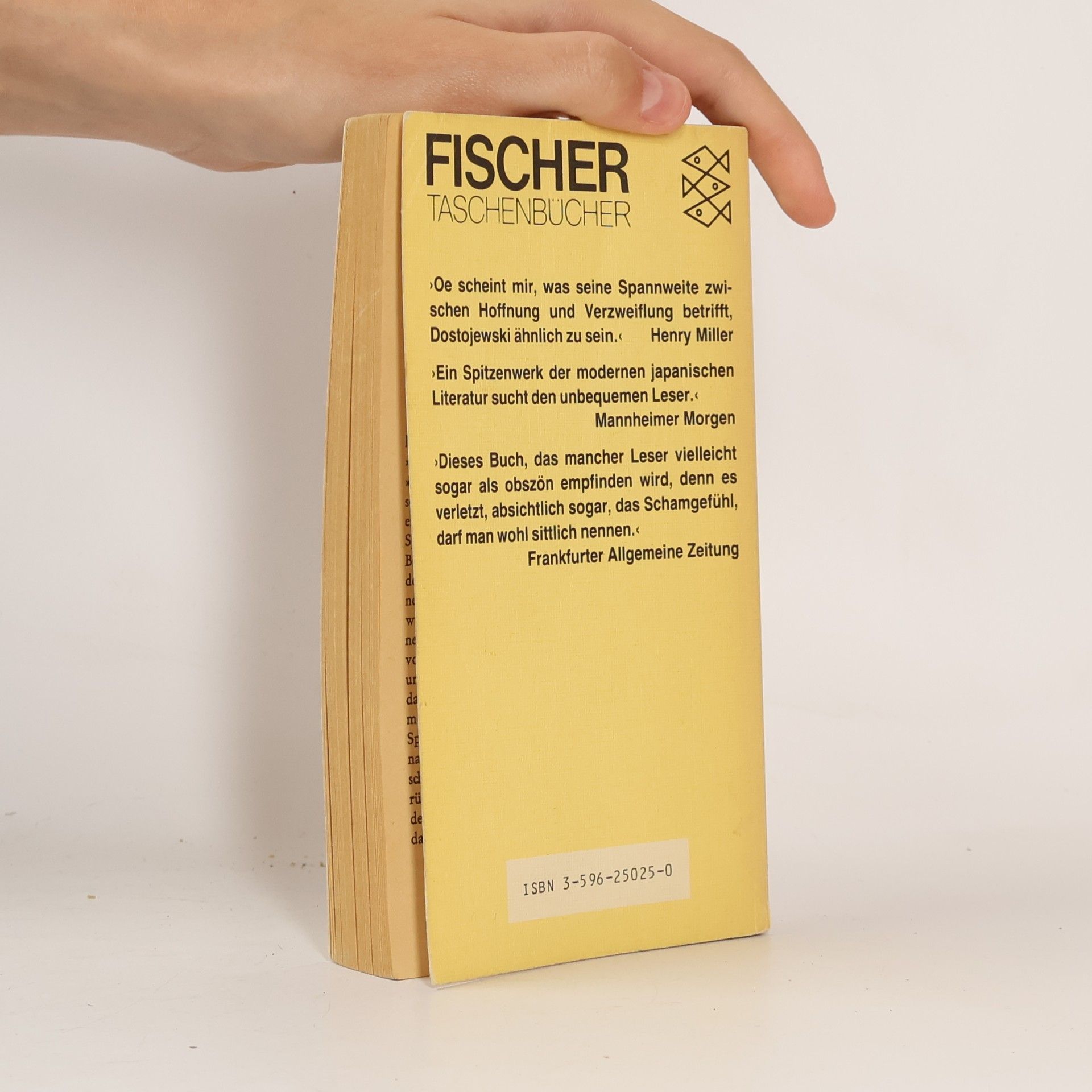 Kenzaburó Óe Eine persönliche Erfahrung