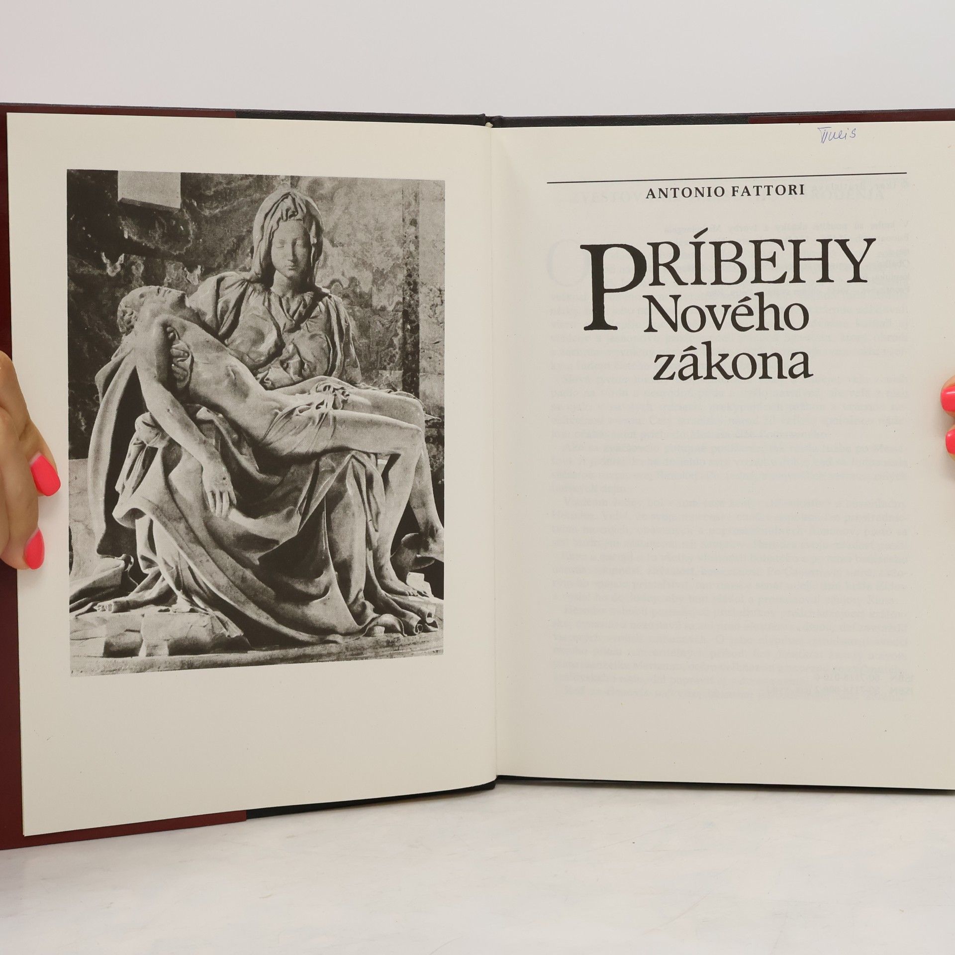 Antonio Fattori Príbehy Nového zákona