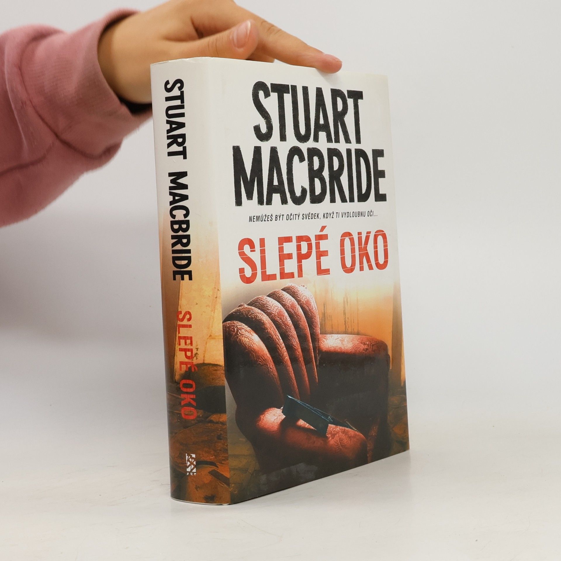 Stuart Macbride Slepé oko