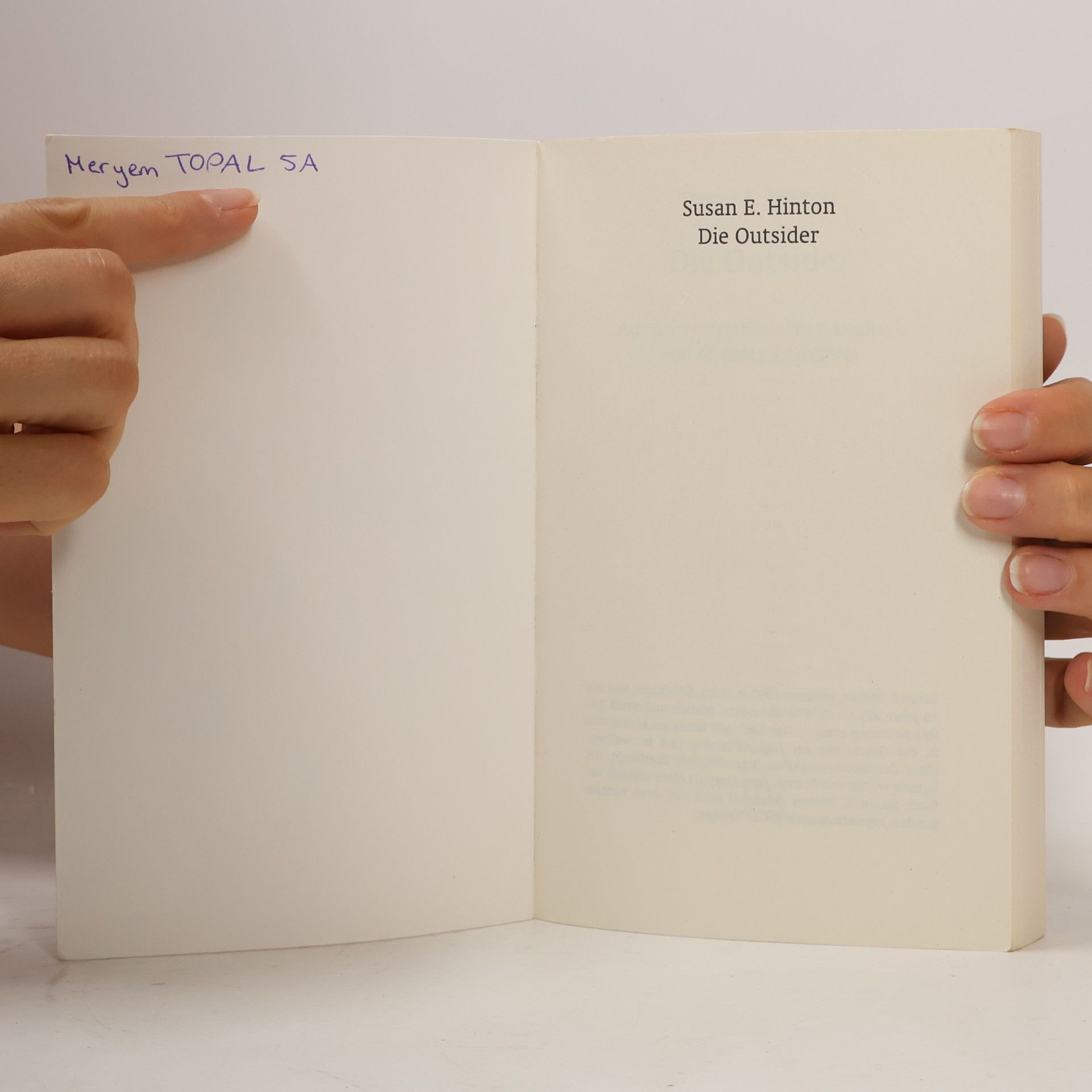 Susan E. Hinton Die Outsider