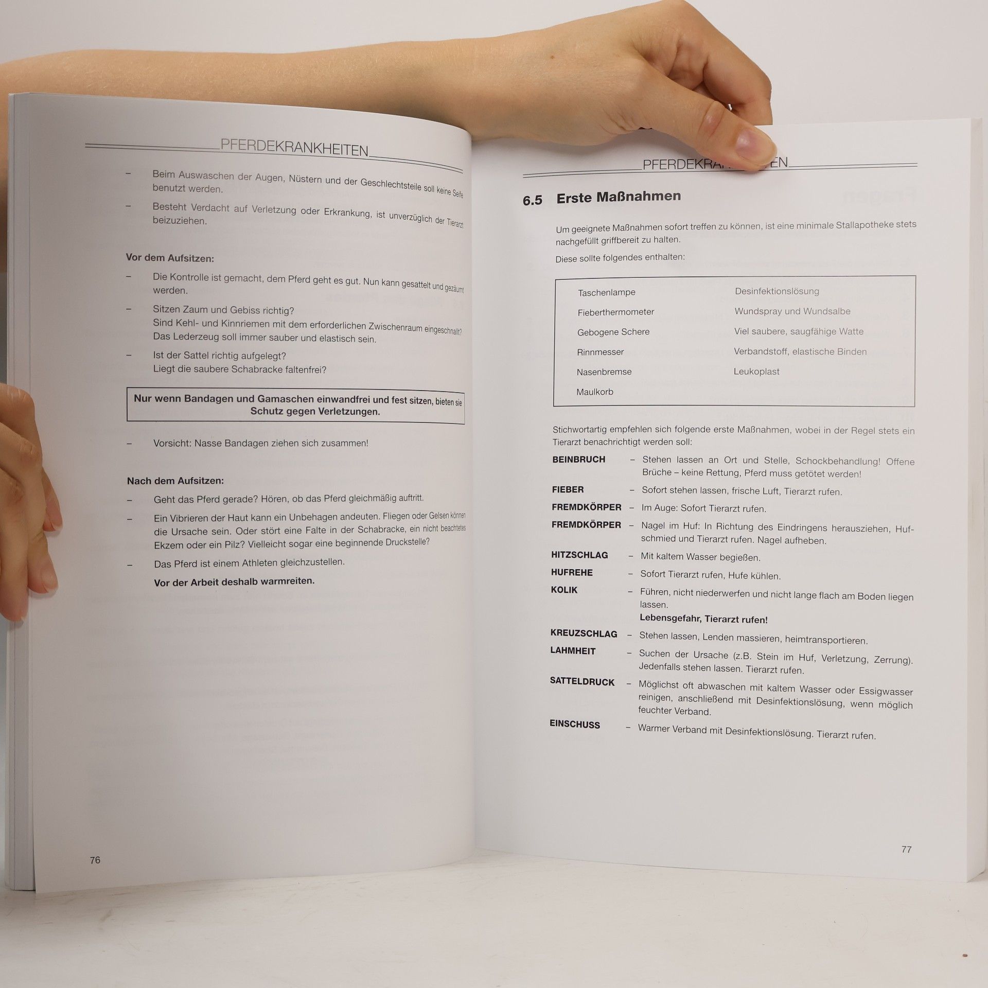 Autorenkollektiv Pferdesport. Fena Lehrbuch