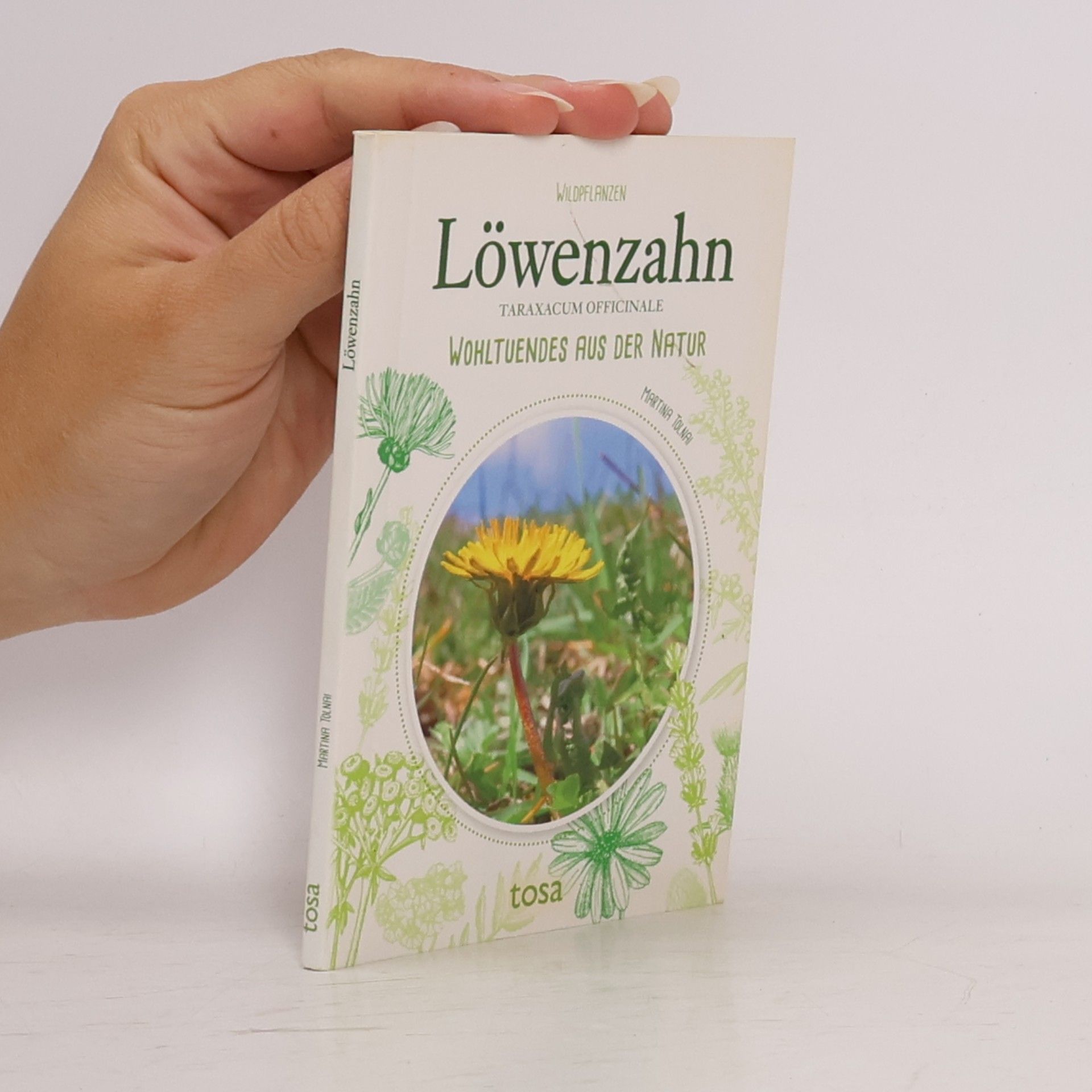 Martina Tolnai Löwenzahn
