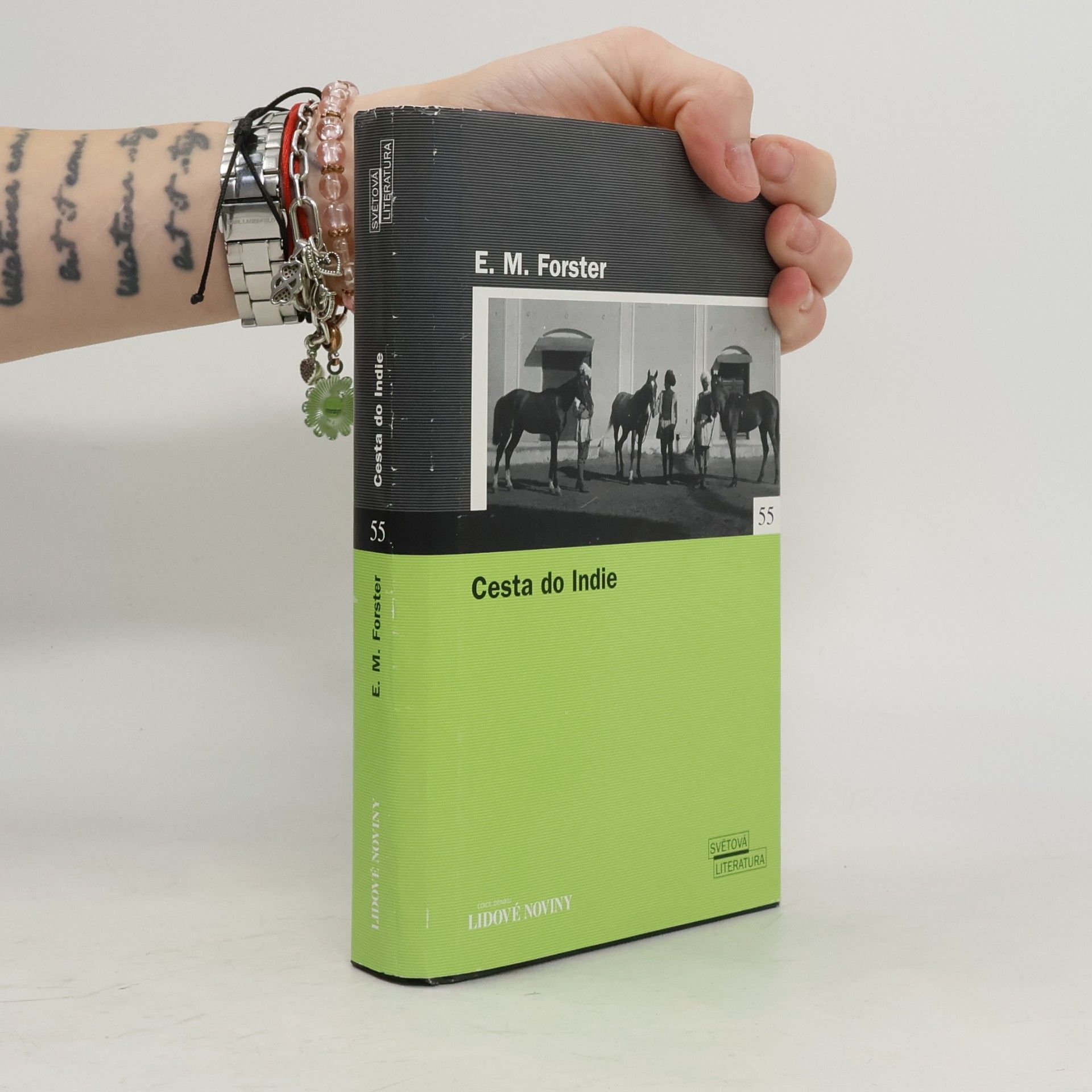 E. M. Forster Cesta do Indie