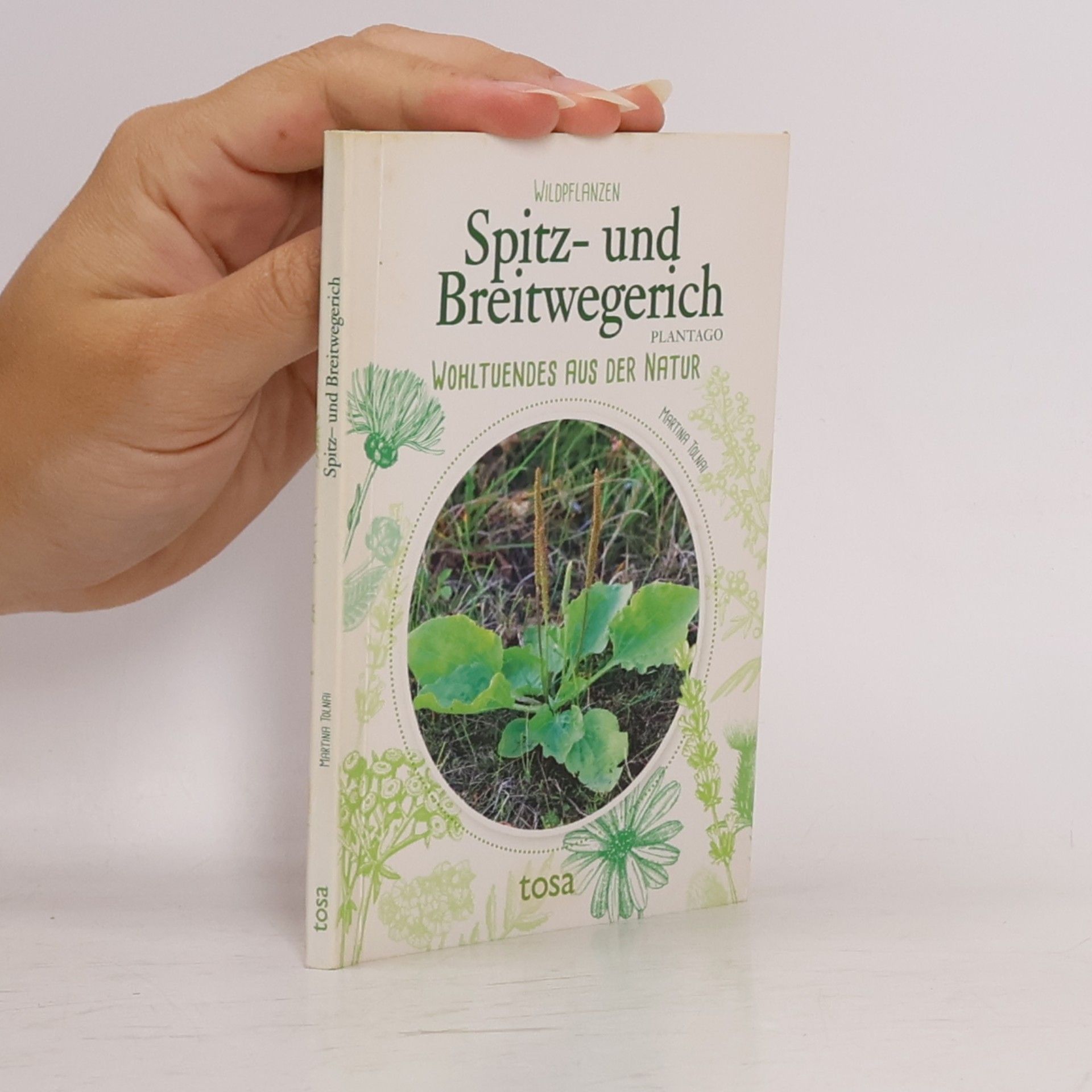 Martina Tolnai Spitz- und Breitwegerich