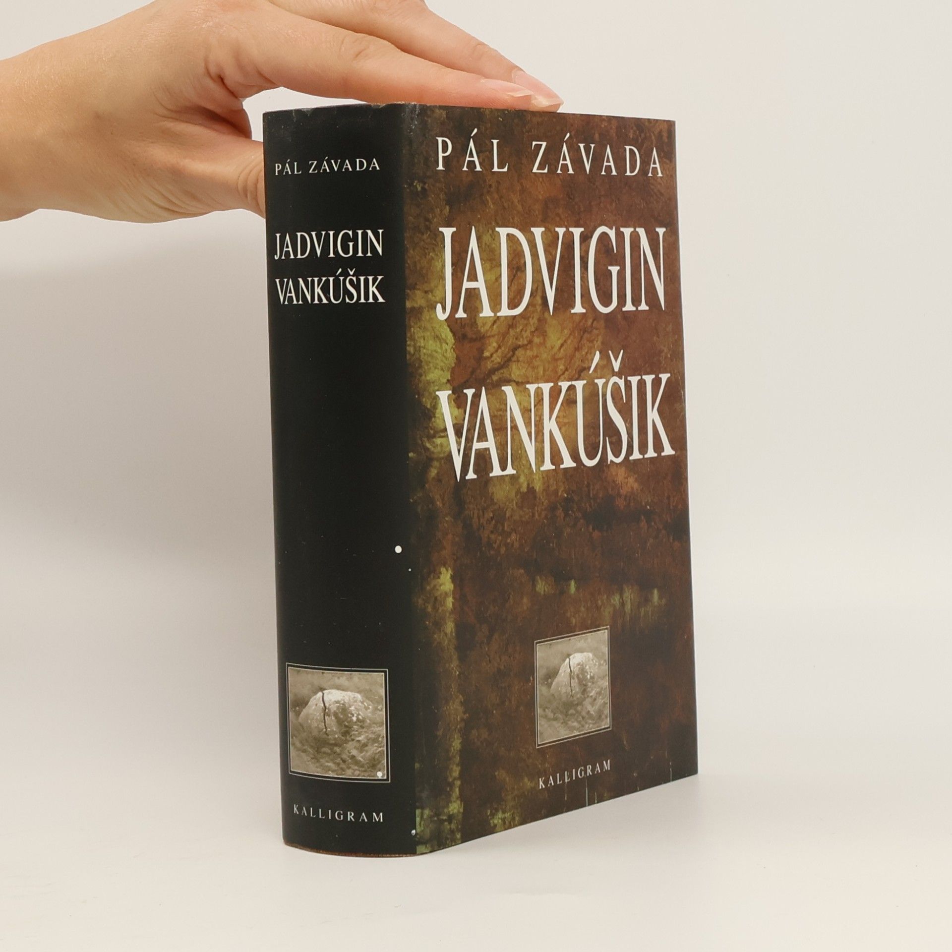 Pál Závada Jadvigin vankúšik