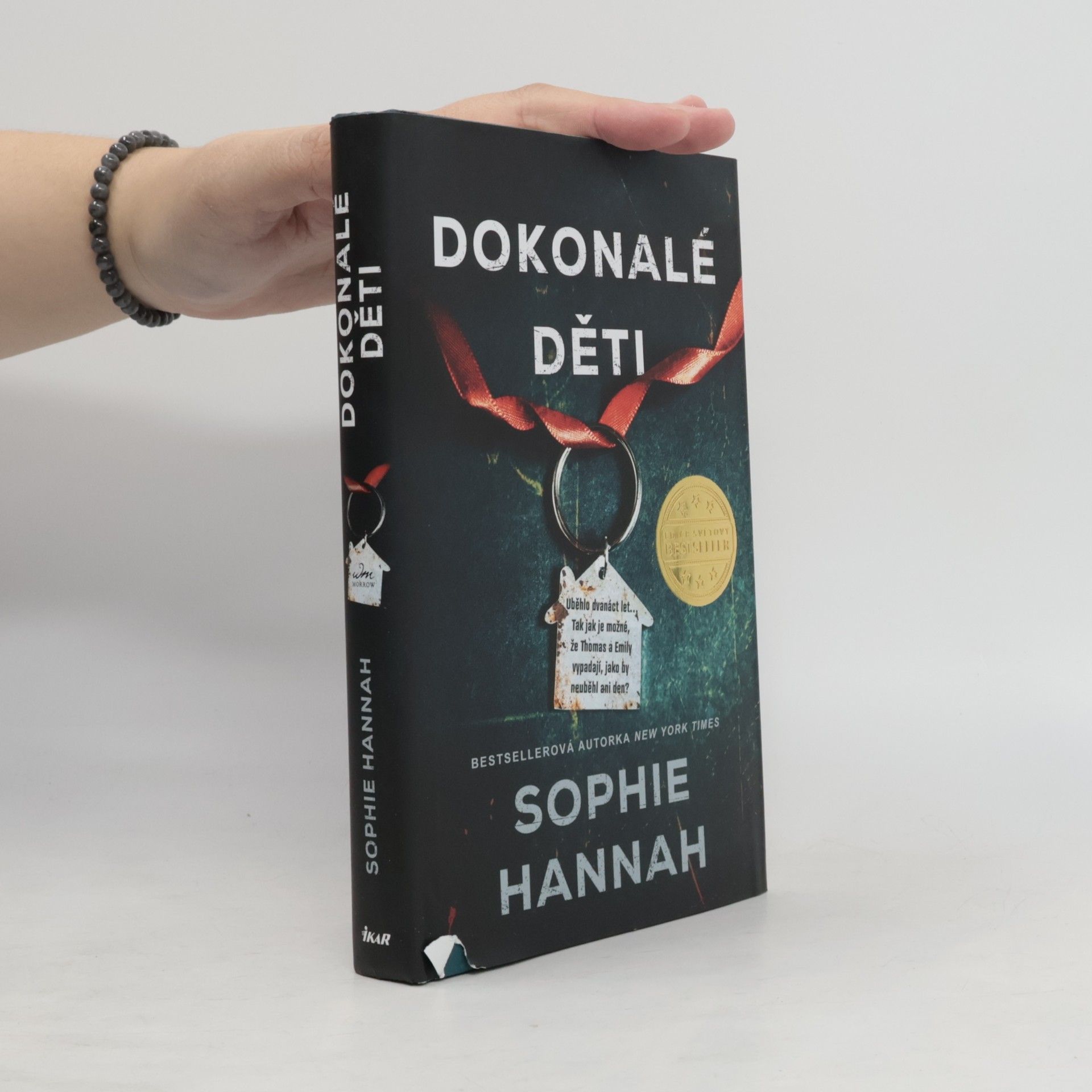 Sophie Hannah Dokonalé děti