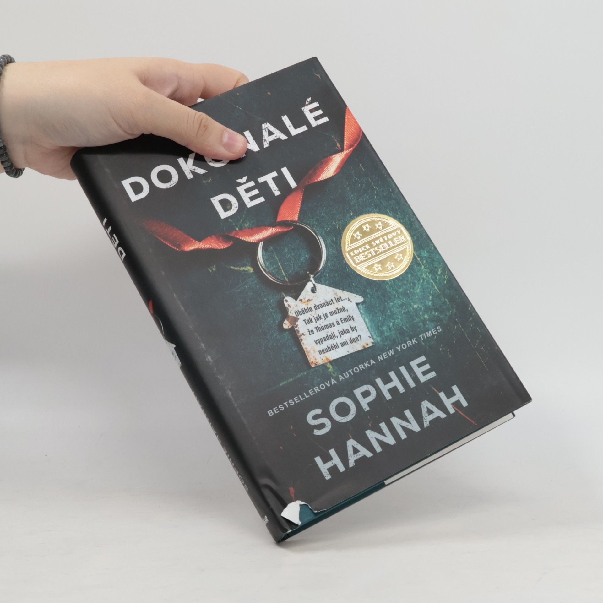 Sophie Hannah Dokonalé děti
