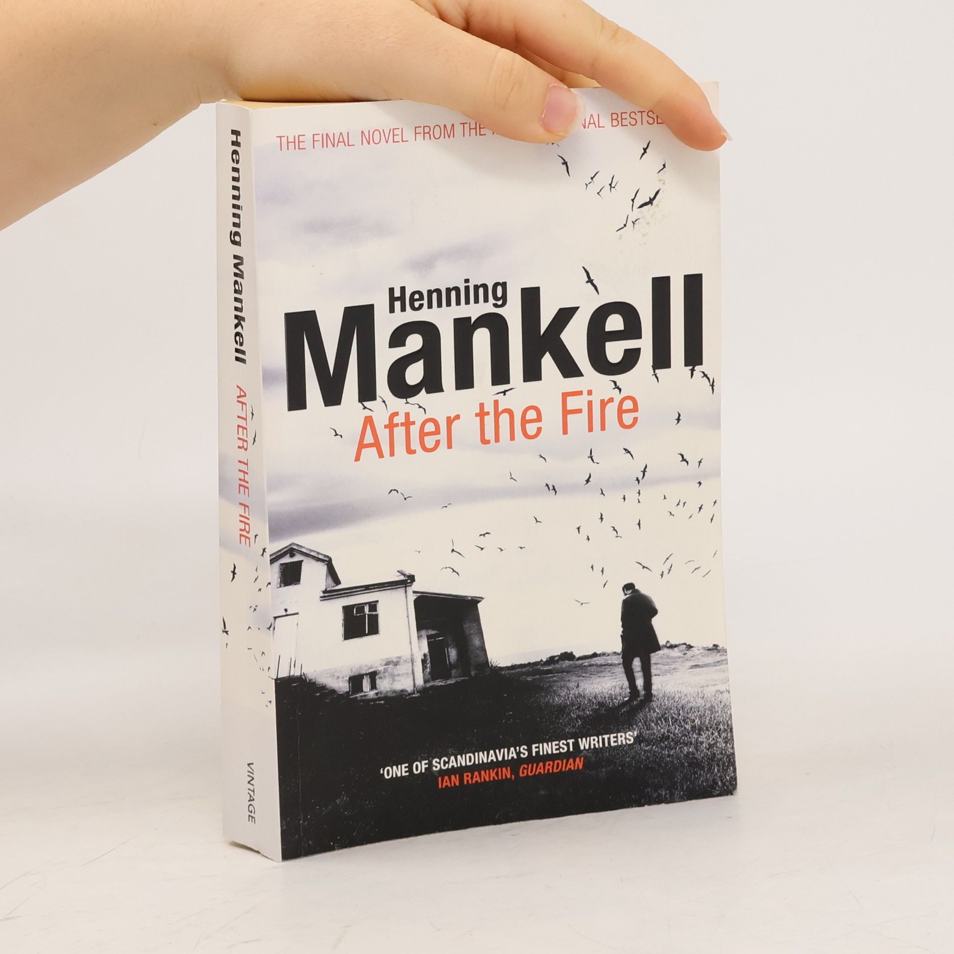 Marlaine Delargy After the Fire
