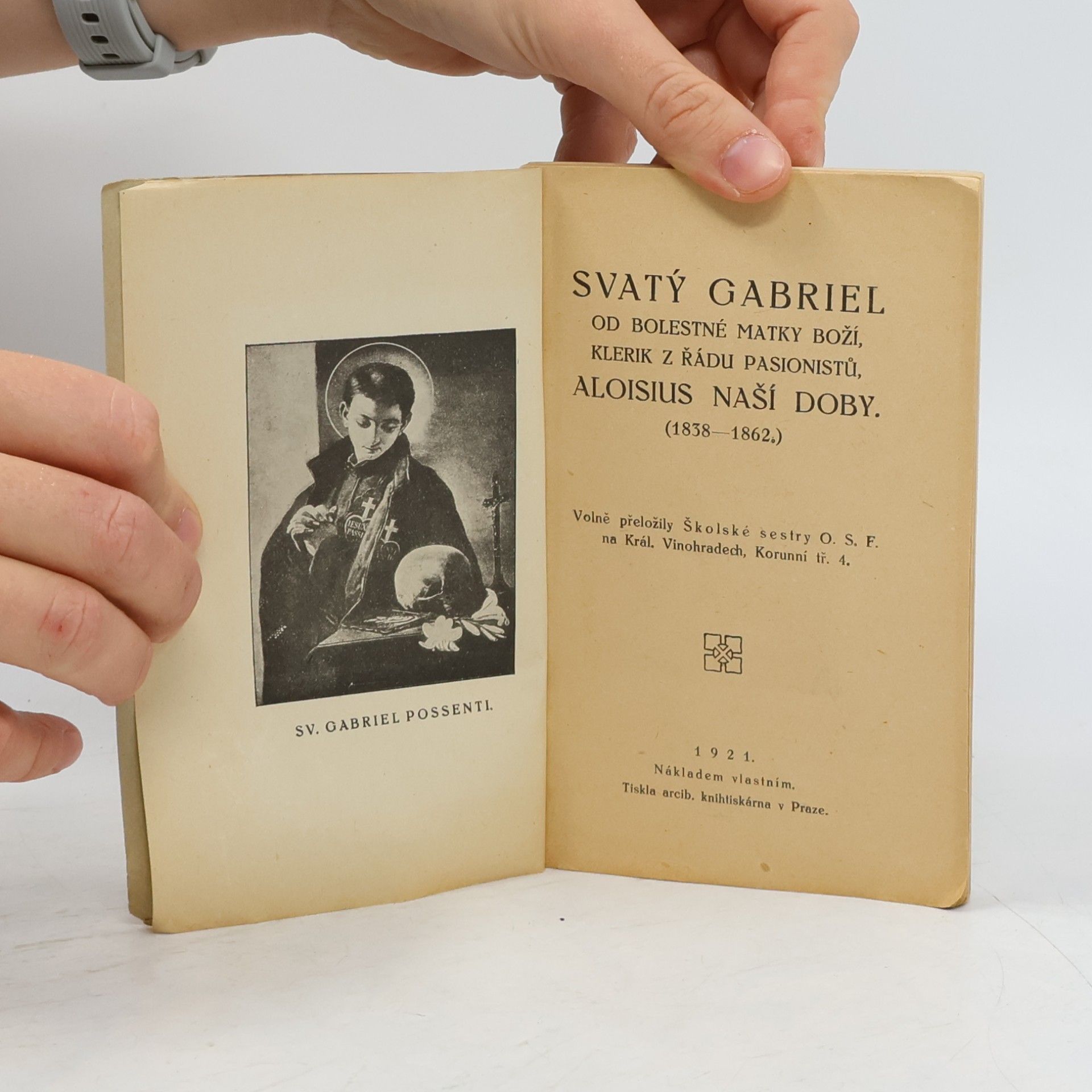 Kolektiv autorů Svatý Gabriel od Bolestné Matky Boží