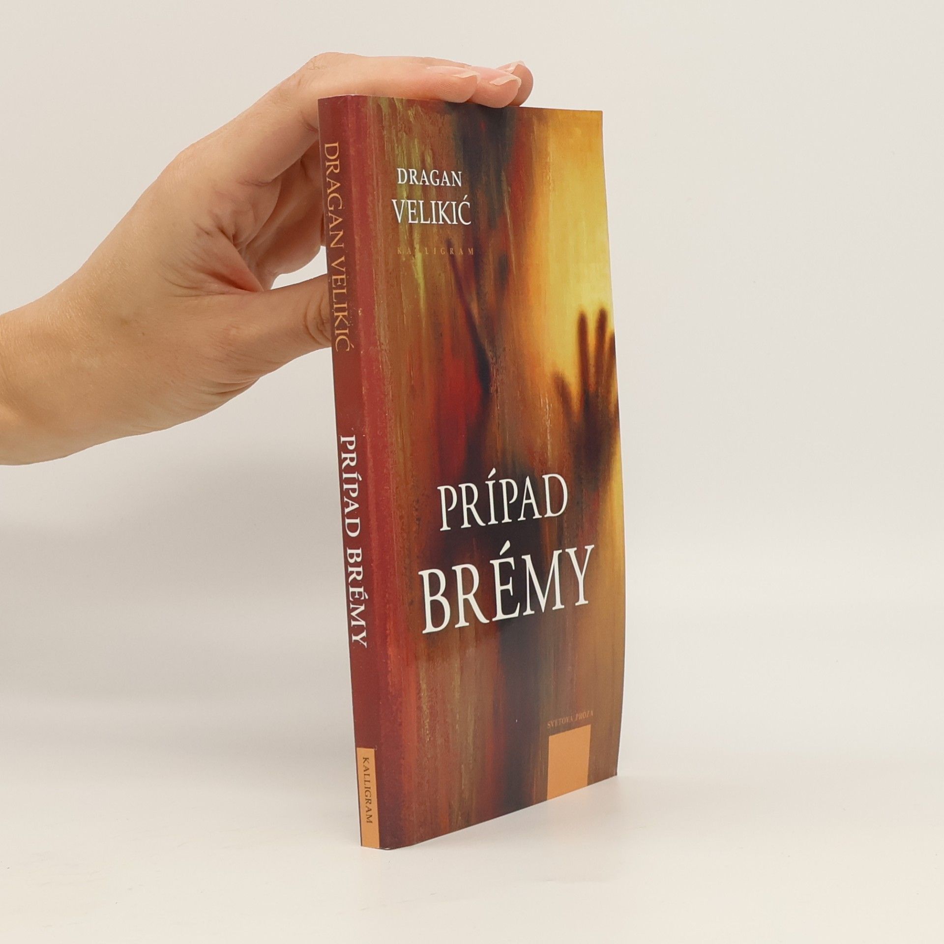 Dragan Velikić Prípad Brémy