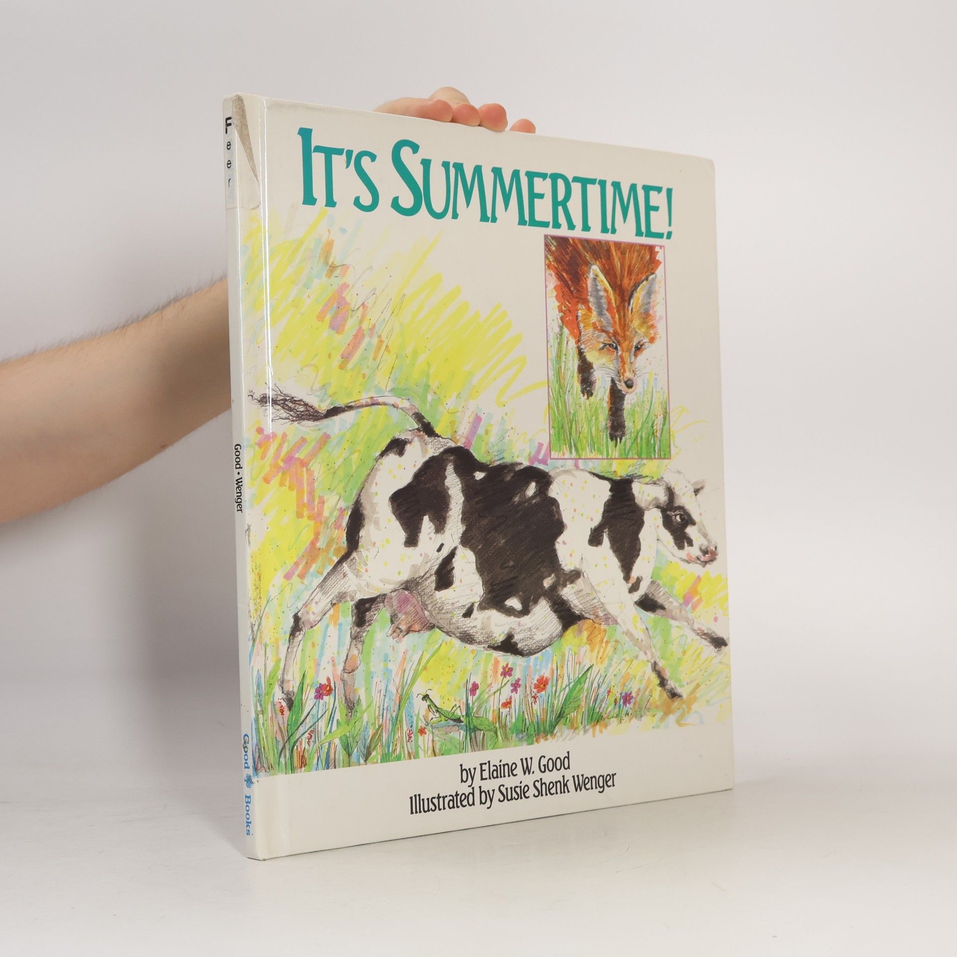 Susie Shenk Wenger It's Summertime!
