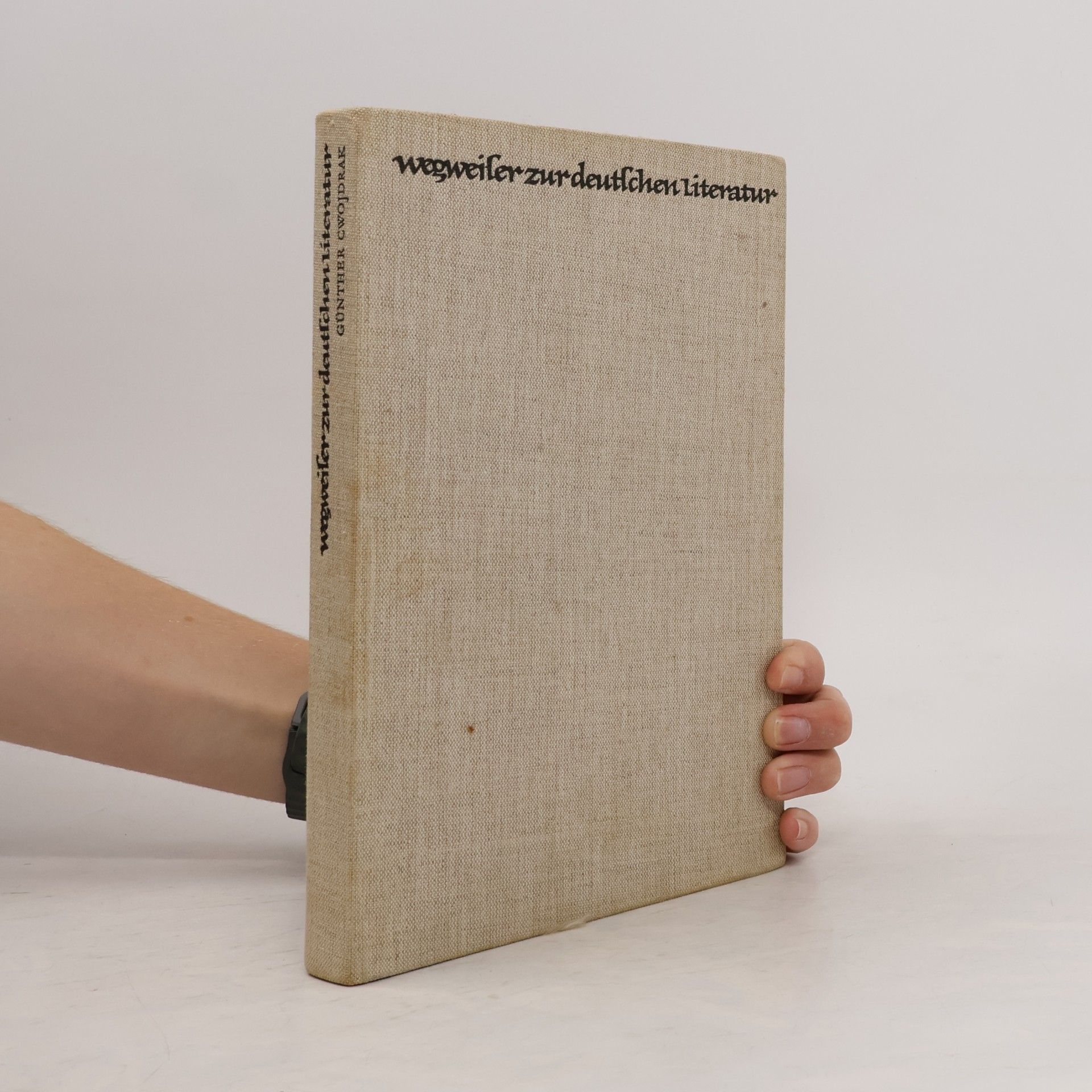 Wegweiser zur deutschen Literatur