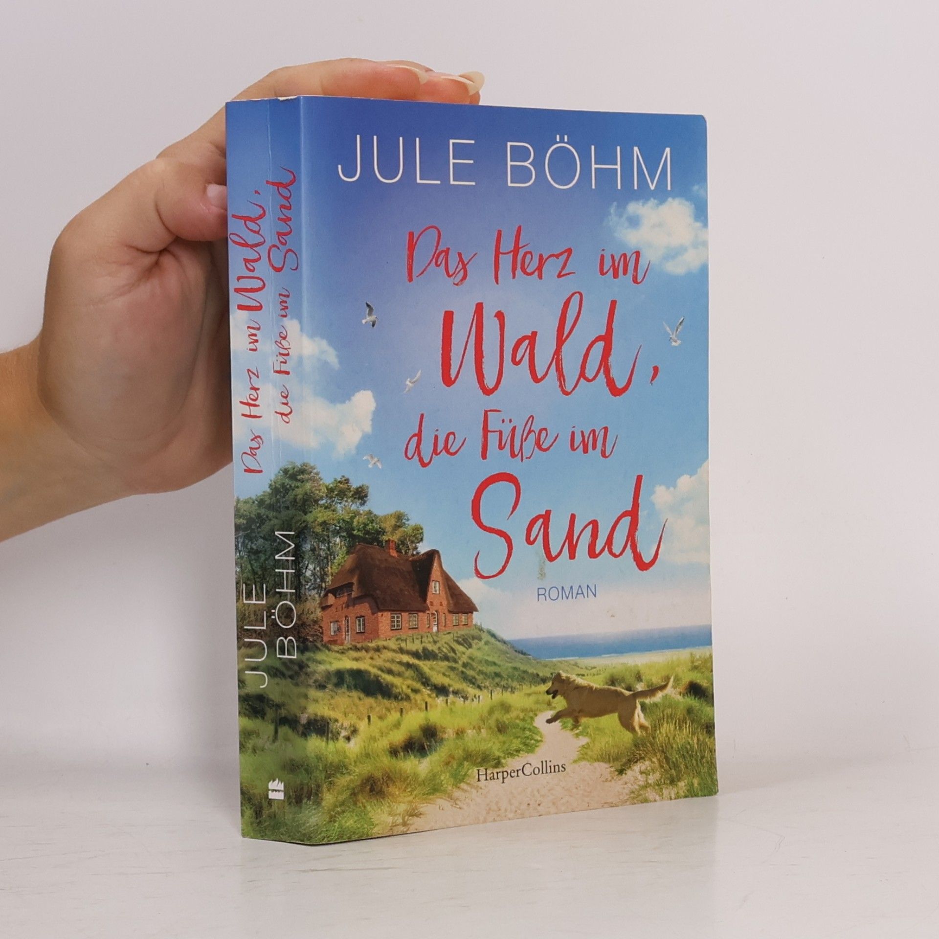 Jule Böhm Das Herz im Wald, die Füße im Sand