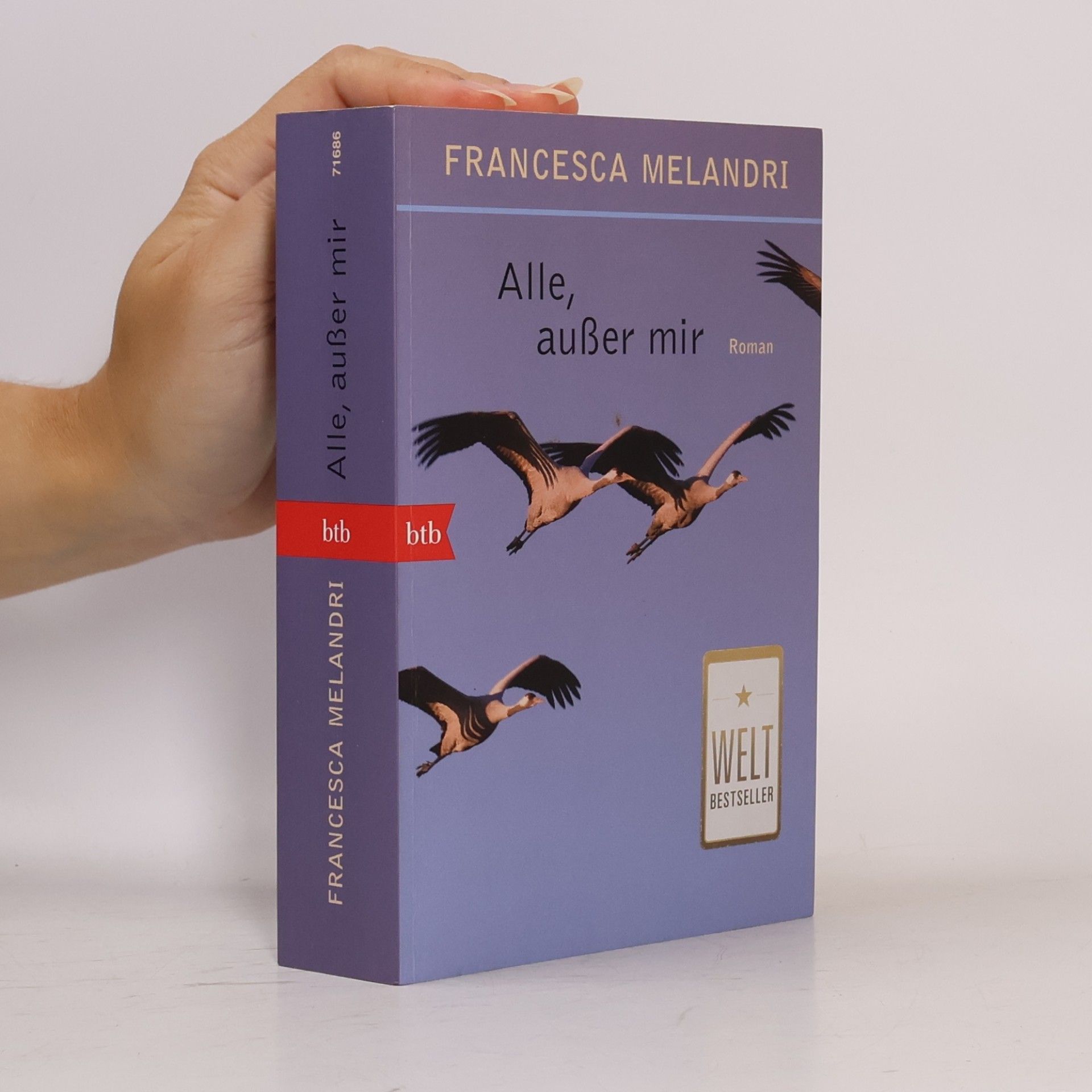 Francesca Melandri Alle, außer mir