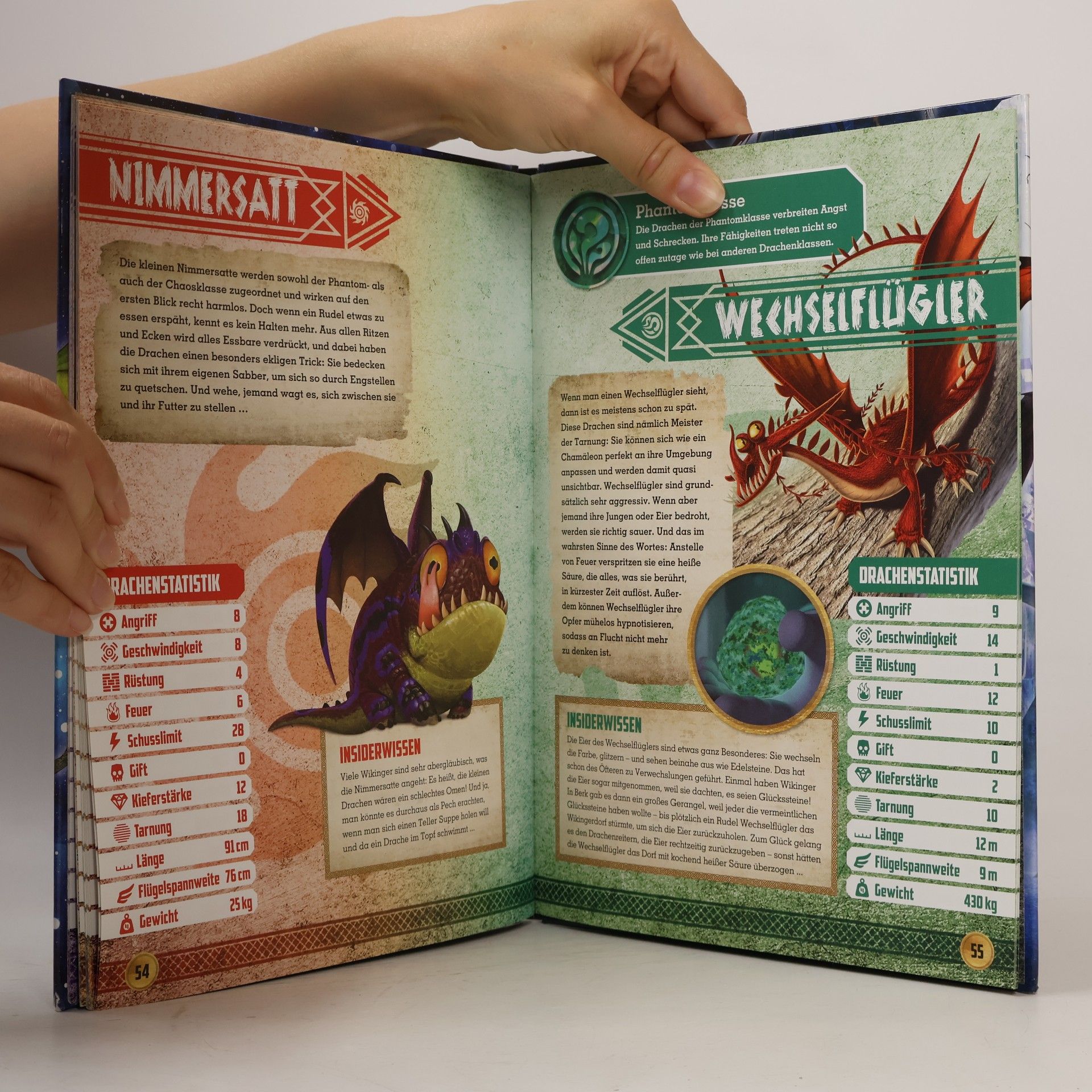 Carolin Böttler Drachenzähmen leicht gemacht 3: die geheime Welt - das ultimative Buch der Drachen